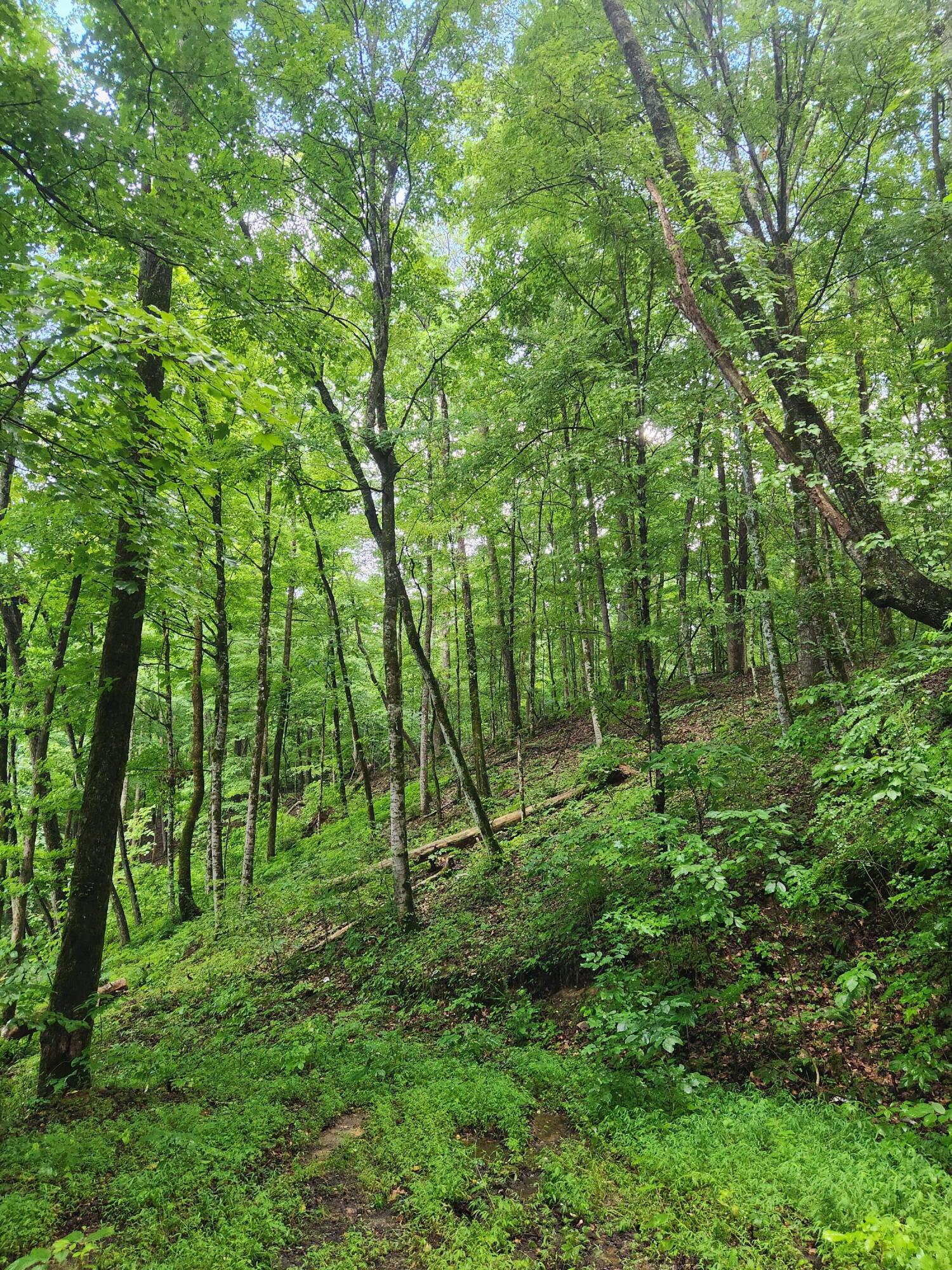 0 S Pittsburg Mountain Road