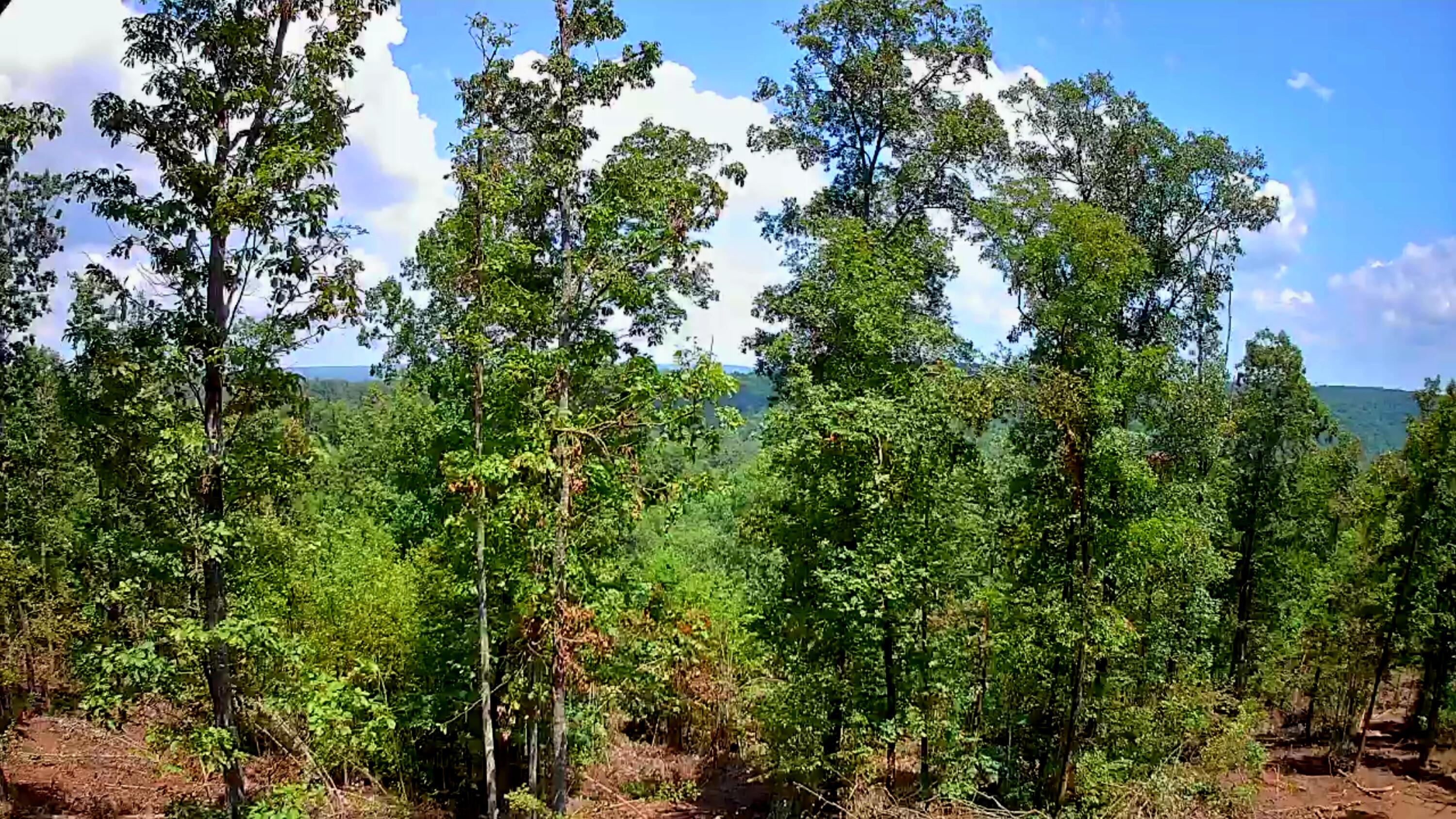 0 S Pittsburg Mountain Road