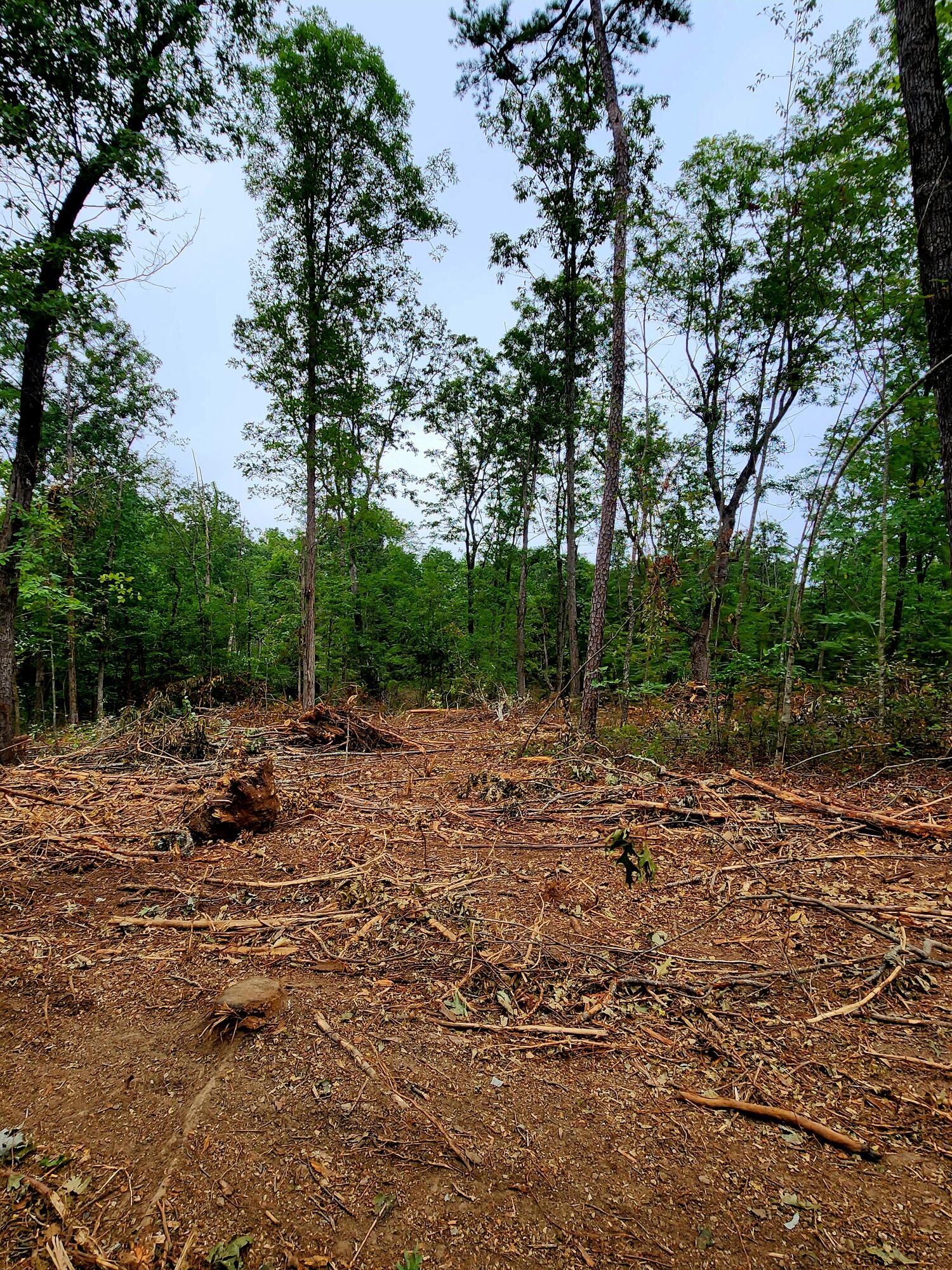 0 S Pittsburg Mountain Road