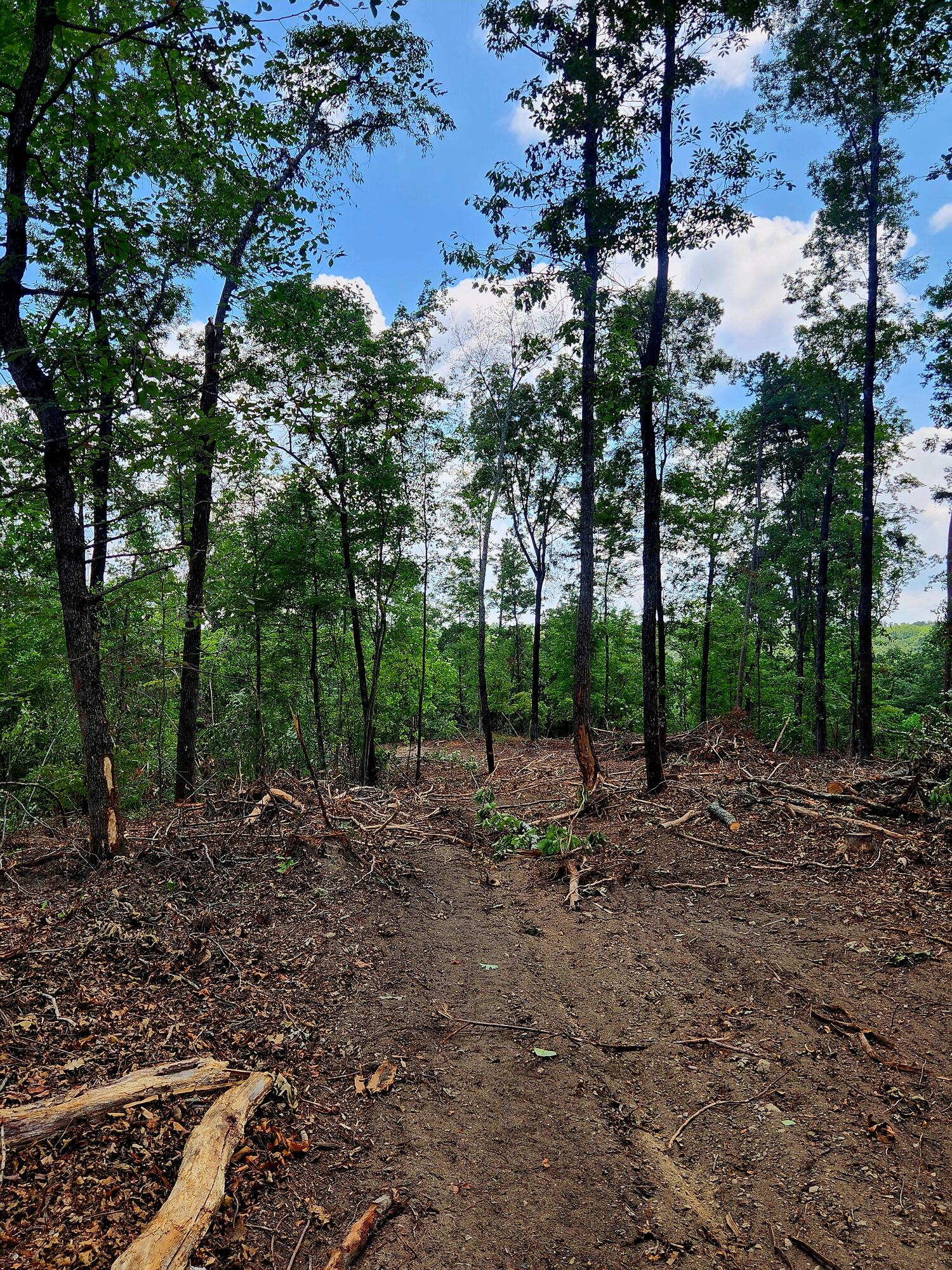 0 S Pittsburg Mountain Road