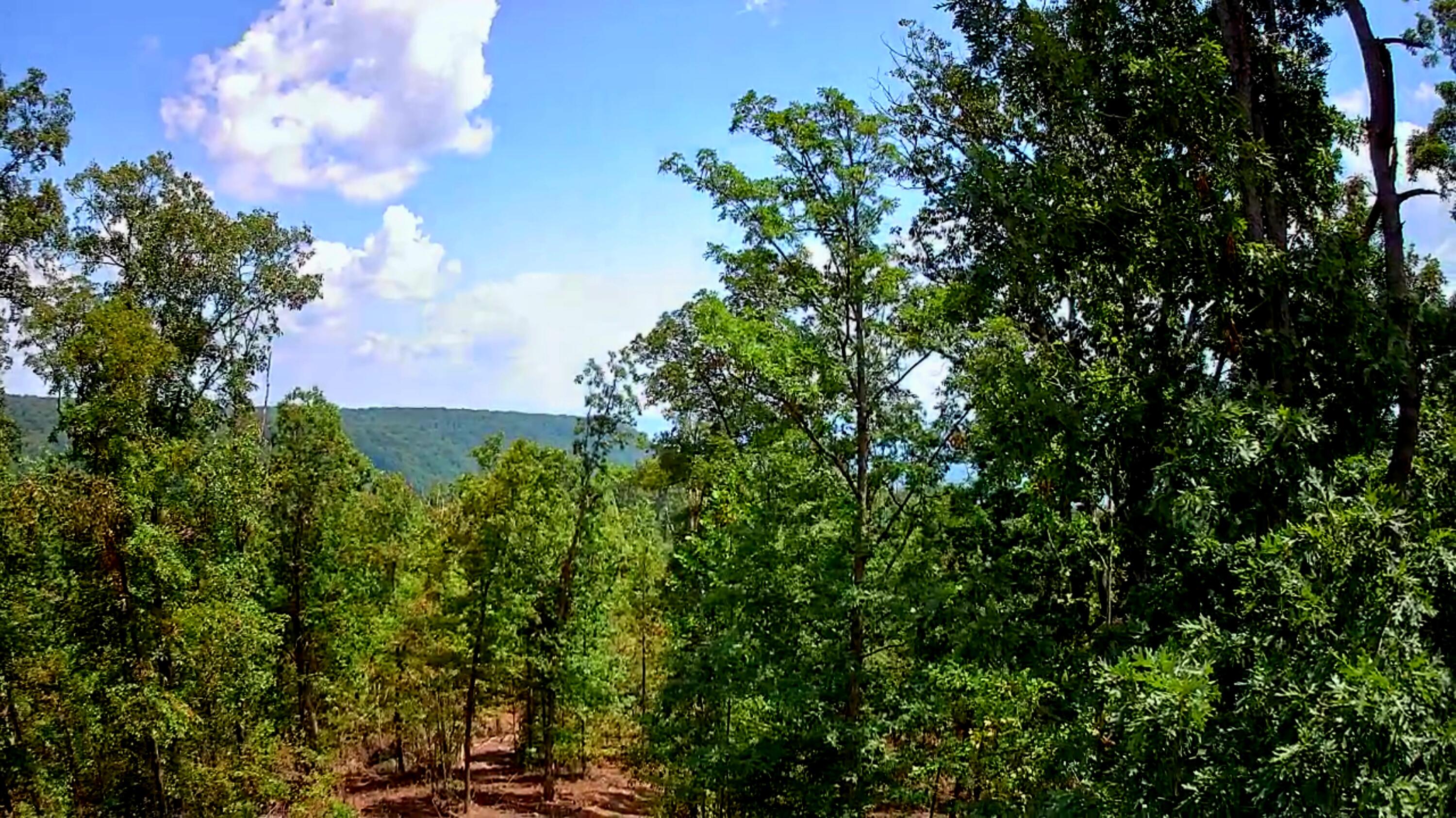 0 S Pittsburg Mountain Road