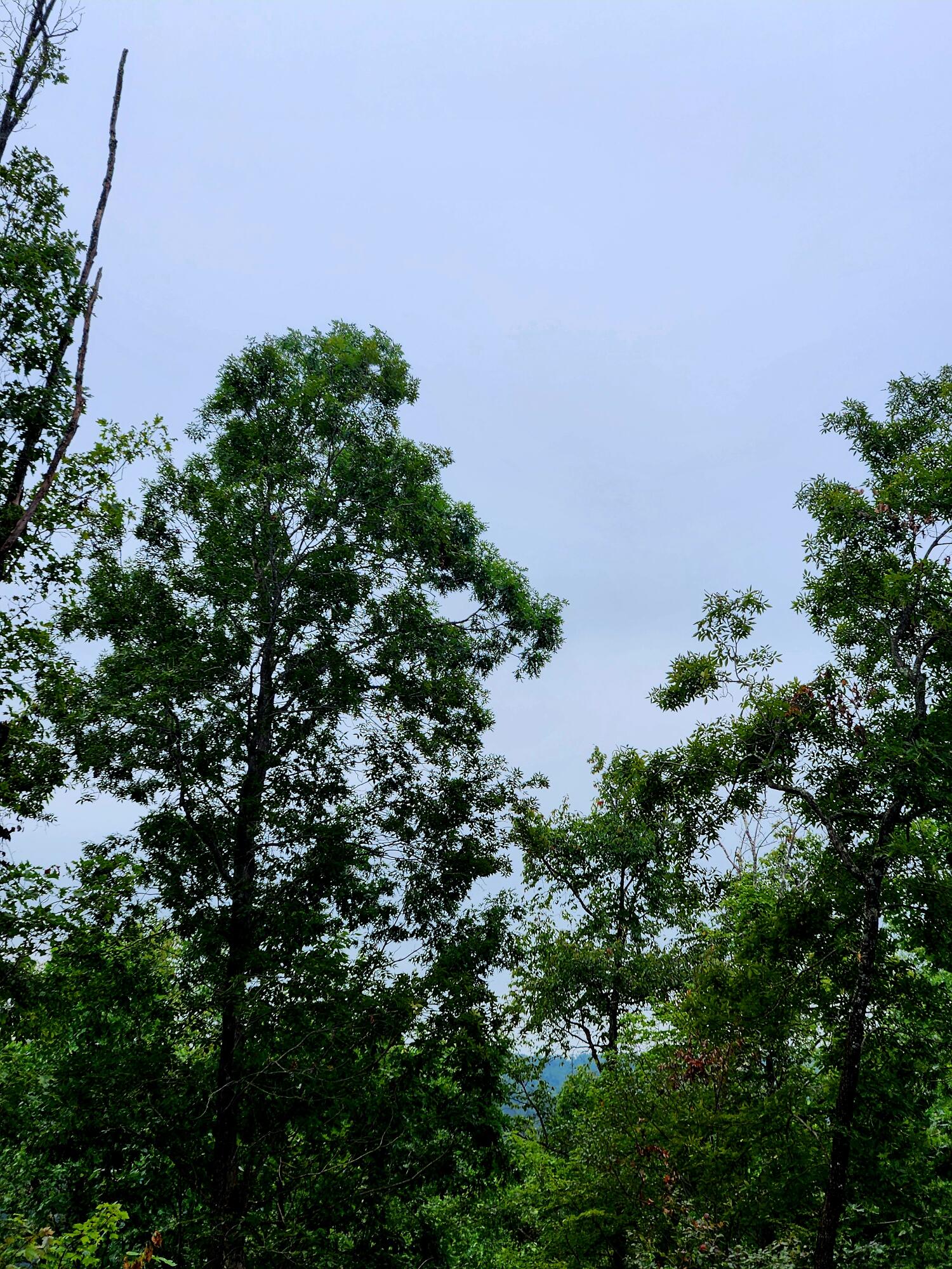 0 S Pittsburg Mountain Road