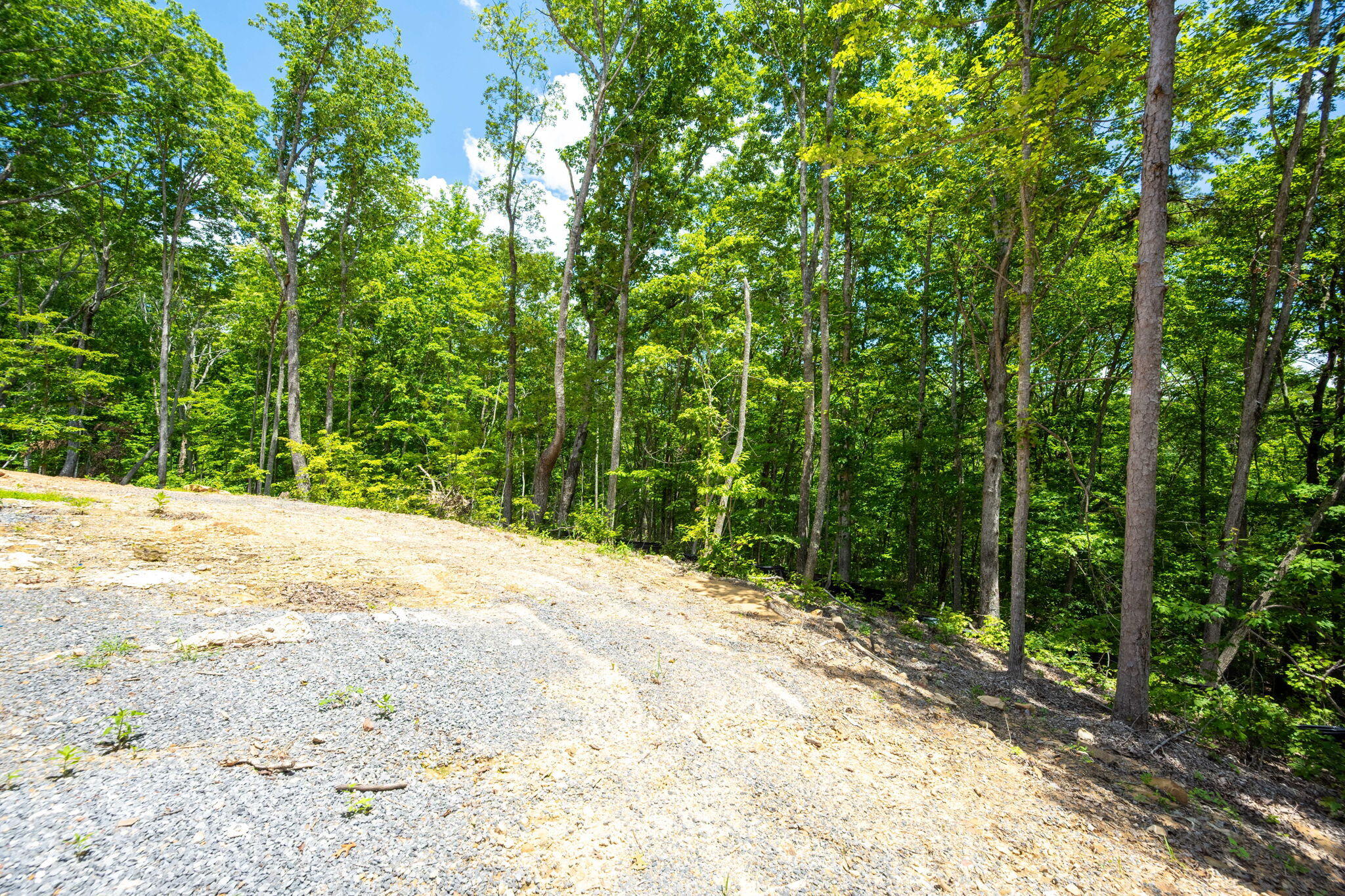 5148 Virginia Pine Road