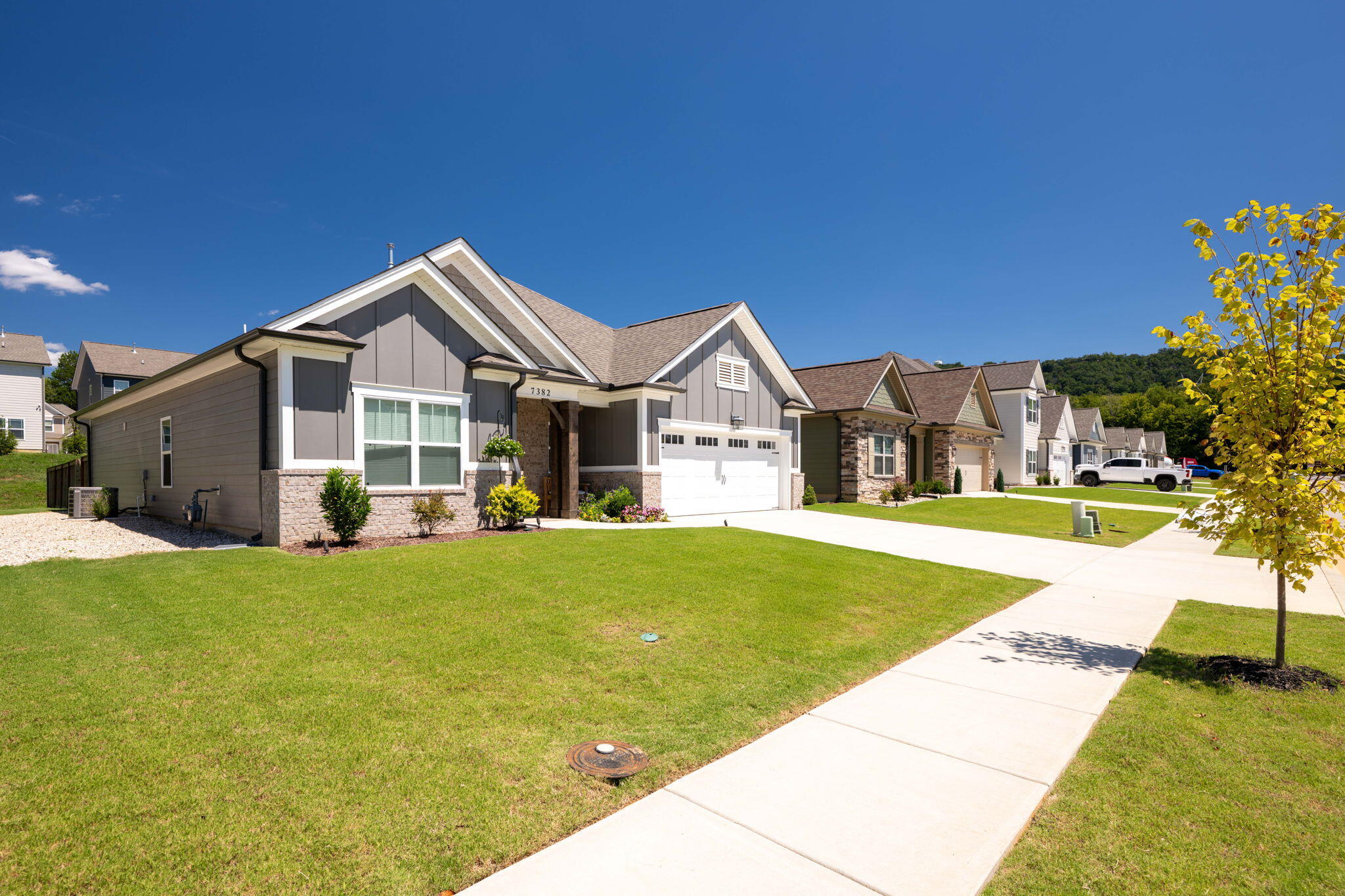 7382 Dividing Way
