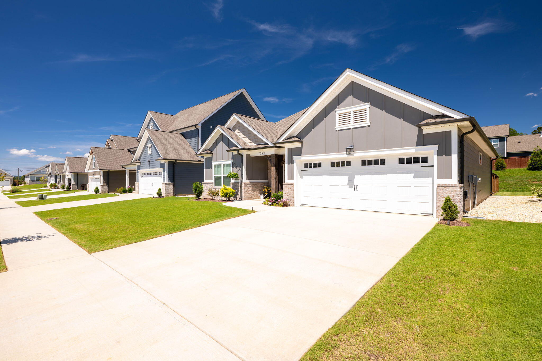 7382 Dividing Way