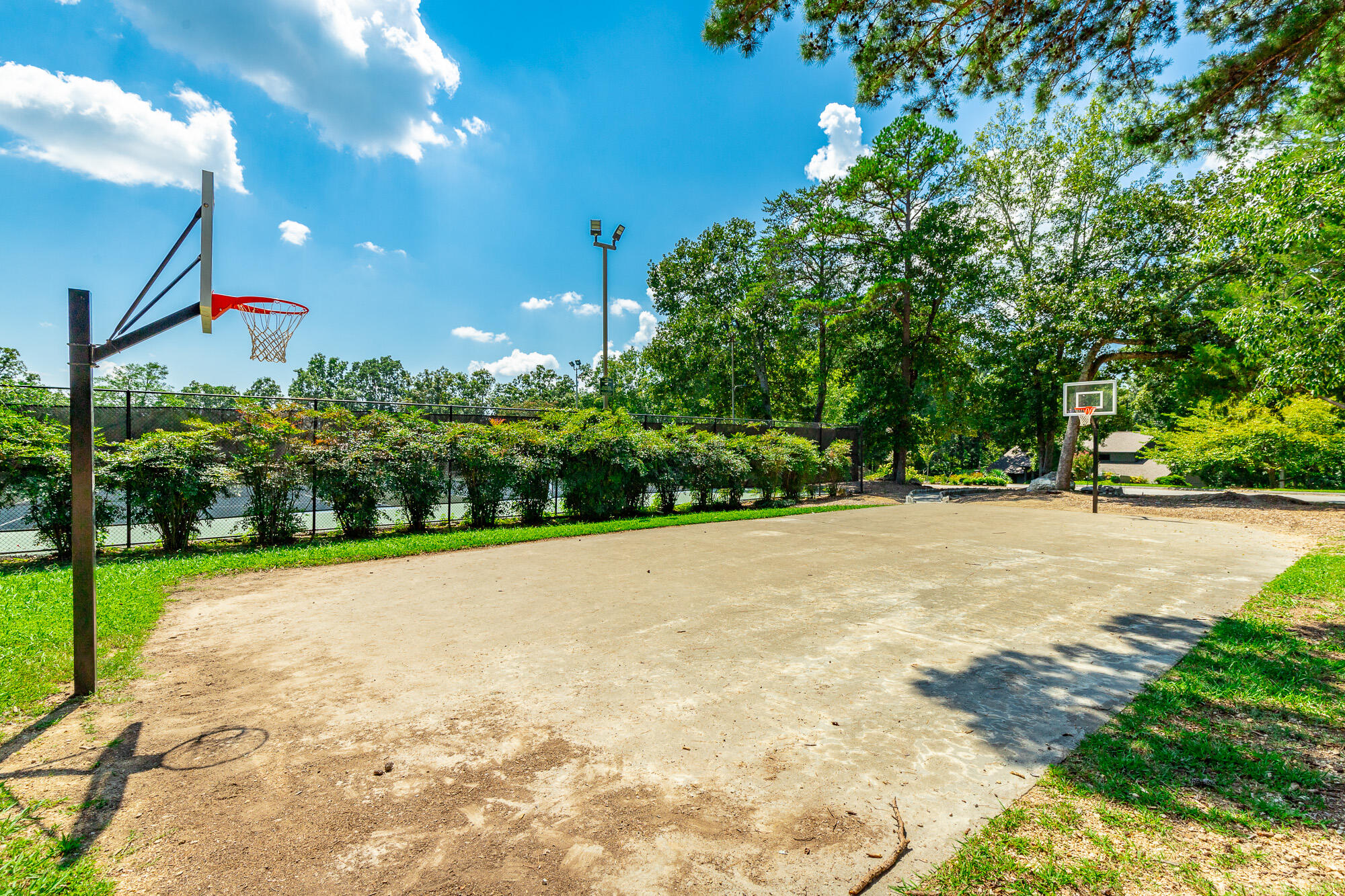 9208 Magic Mountain Drive