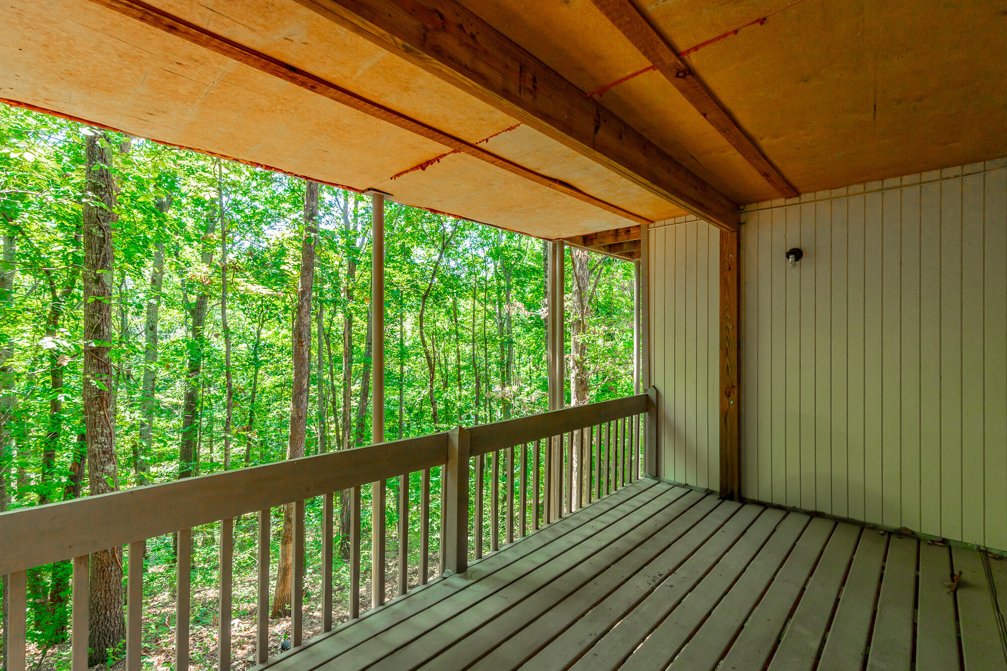 9208 Magic Mountain Drive