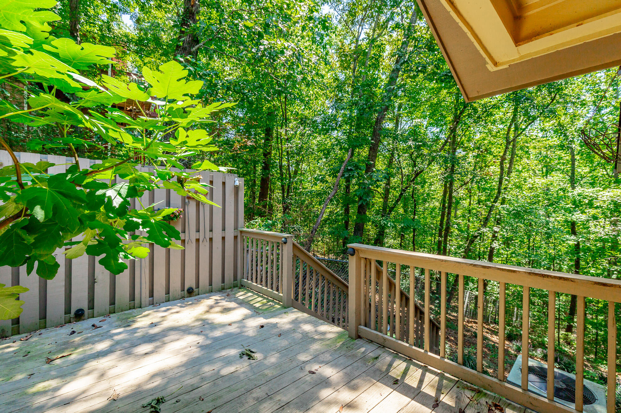 9208 Magic Mountain Drive