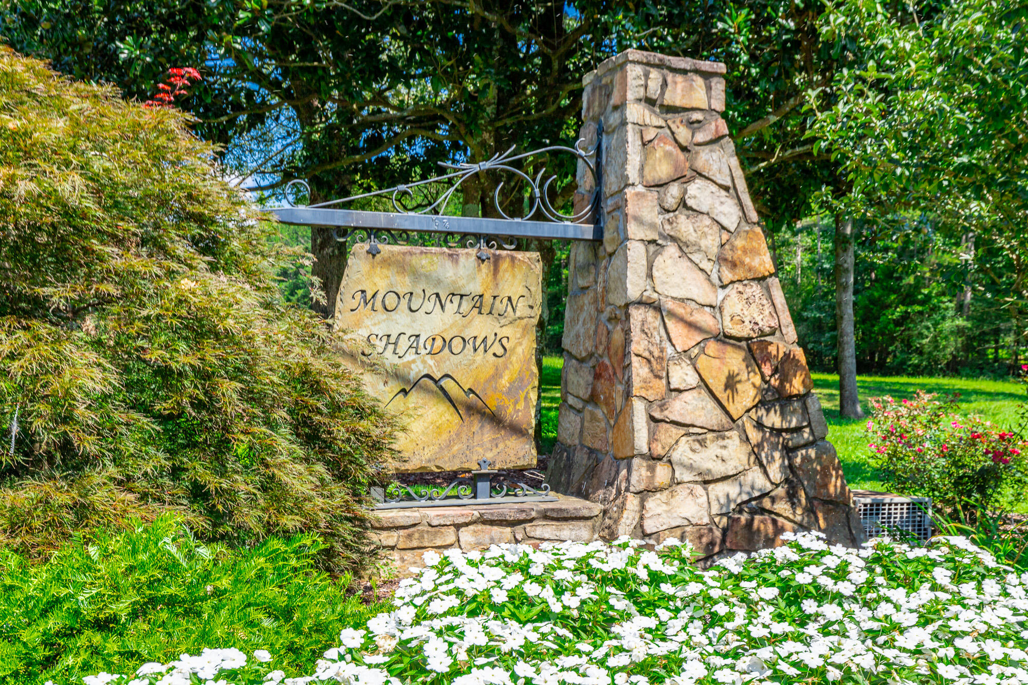 9208 Magic Mountain Drive