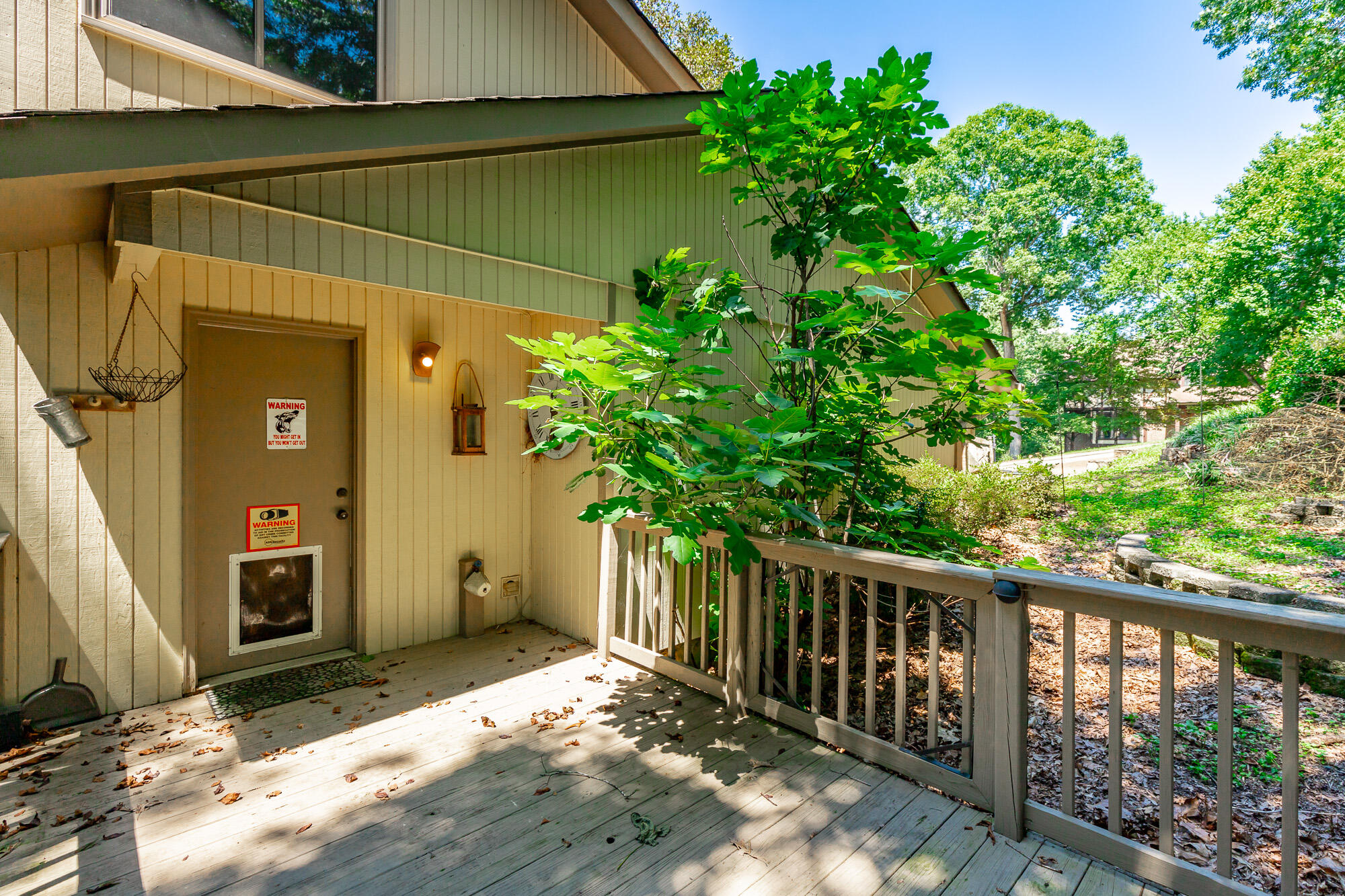 9208 Magic Mountain Drive