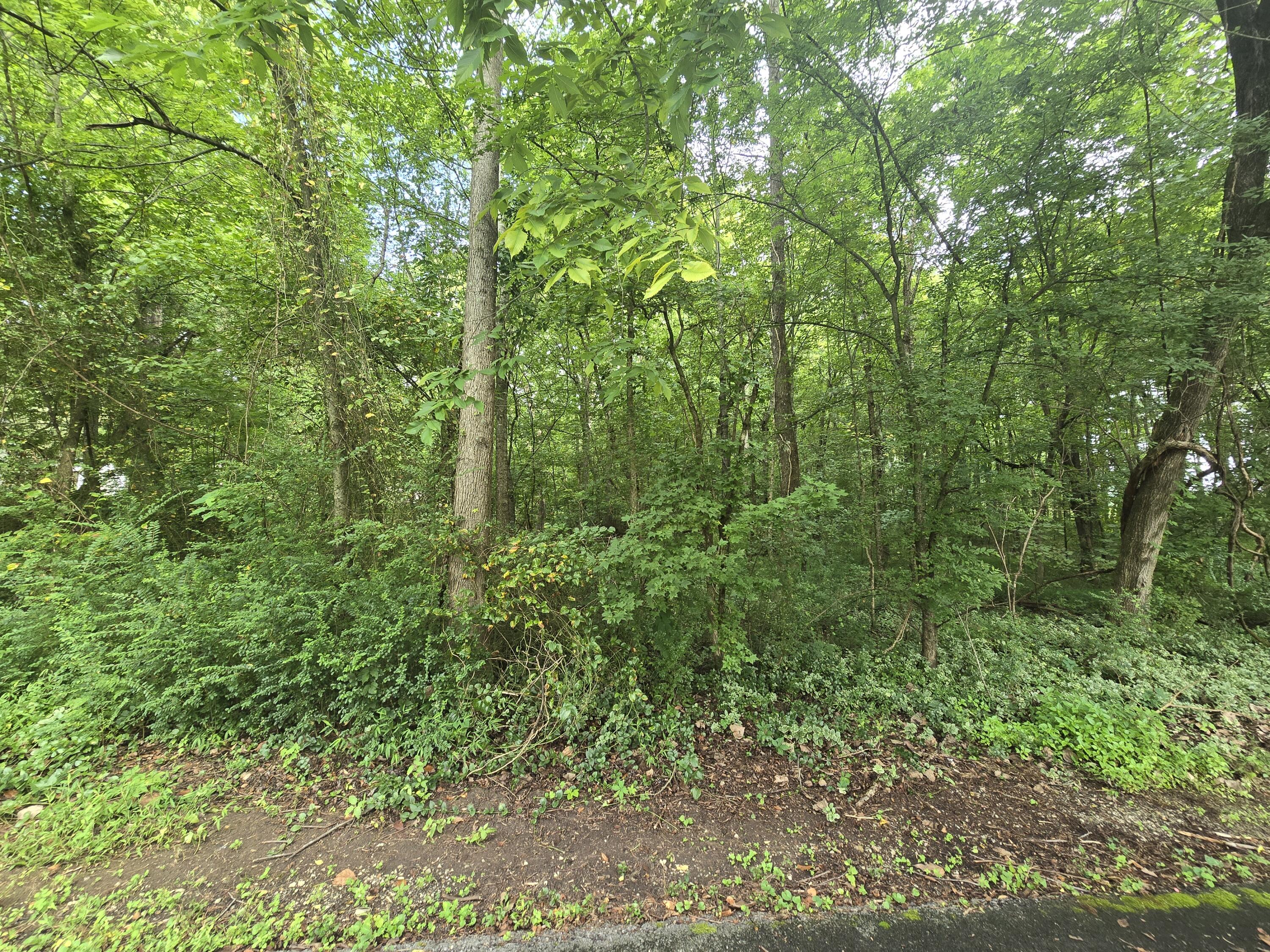 128 Hummingbird Drive NW, Lot 12