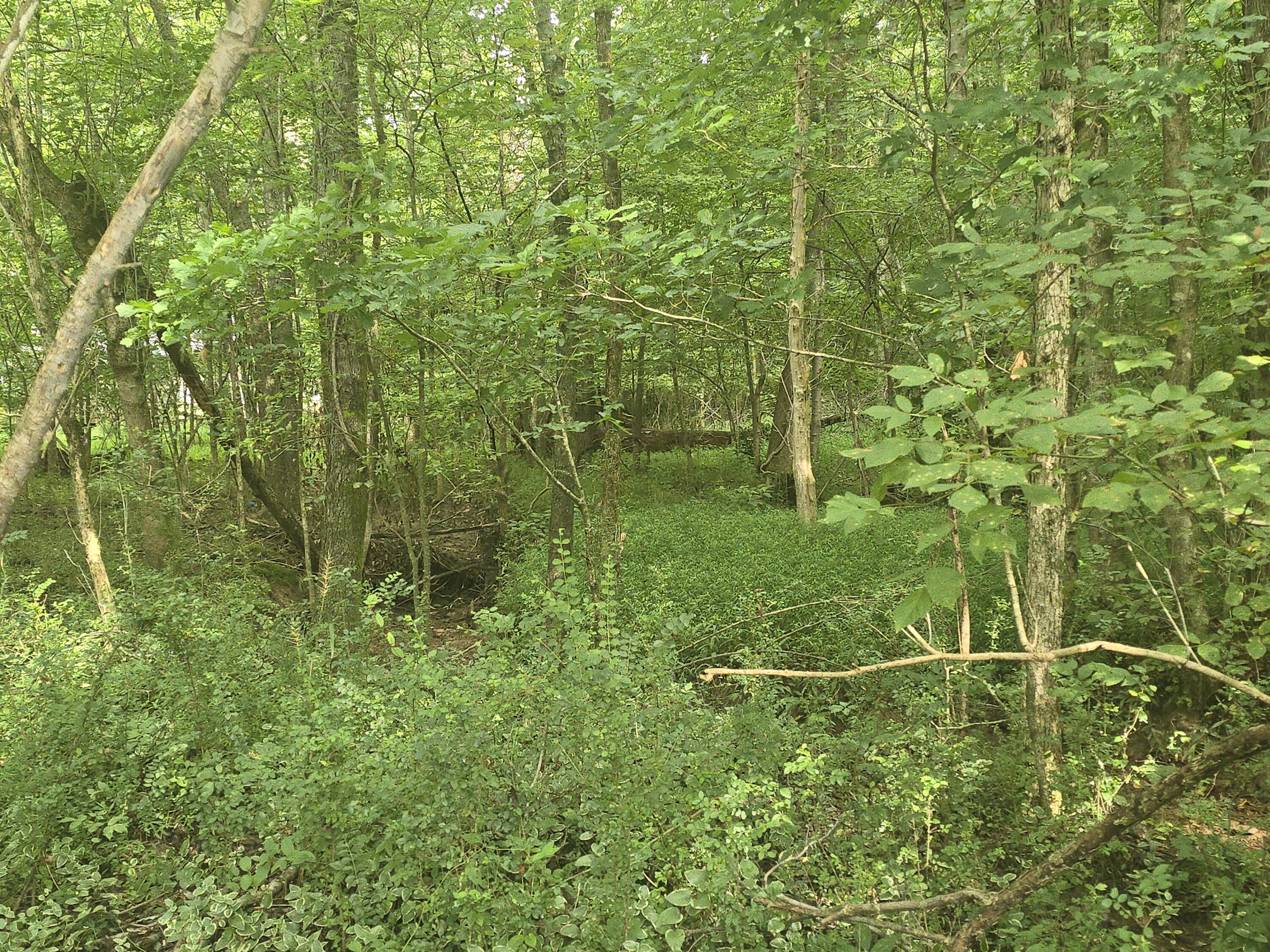 128 Hummingbird Drive NW, Lot 12