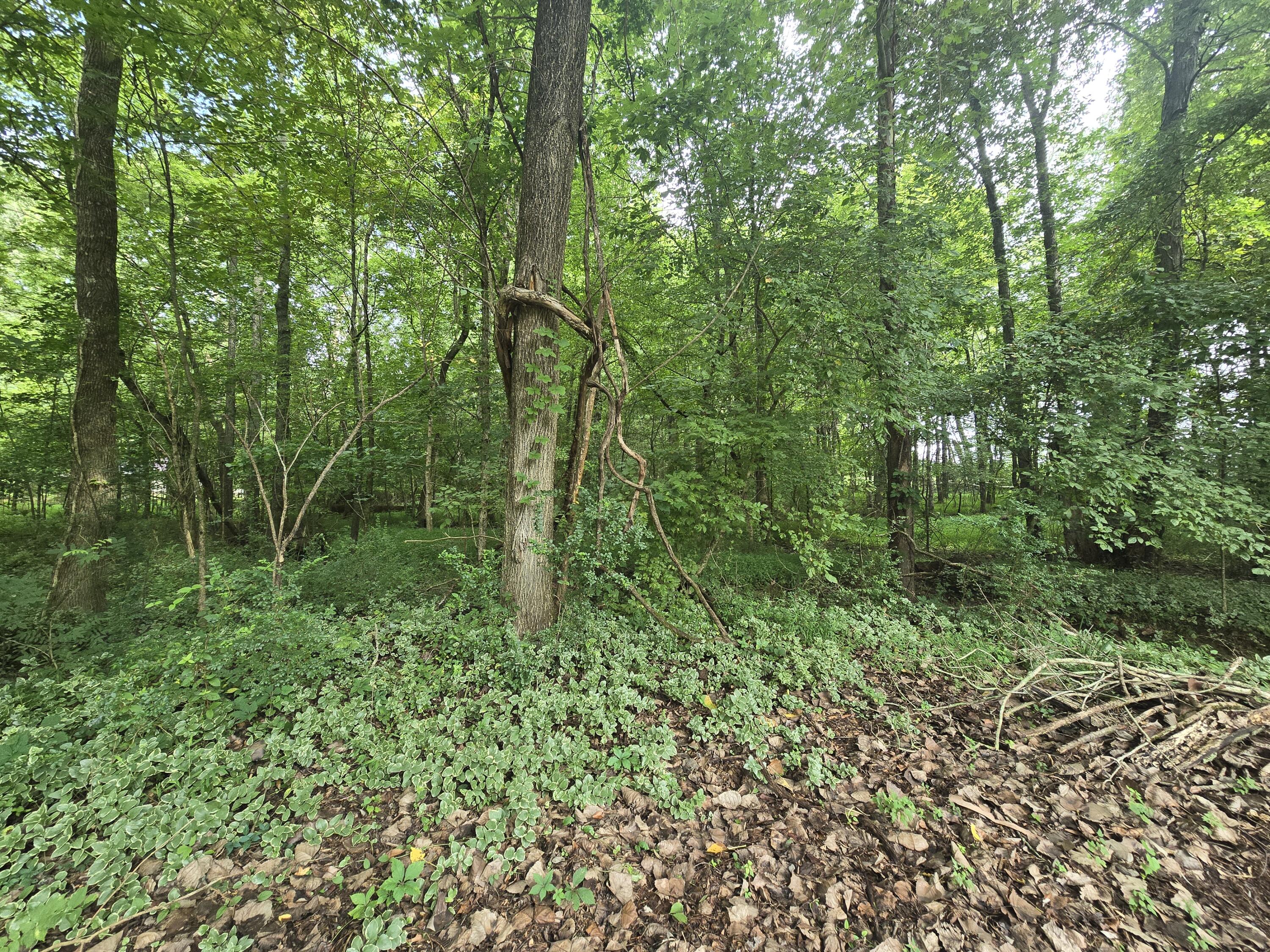 128 Hummingbird Drive NW, Lot 12