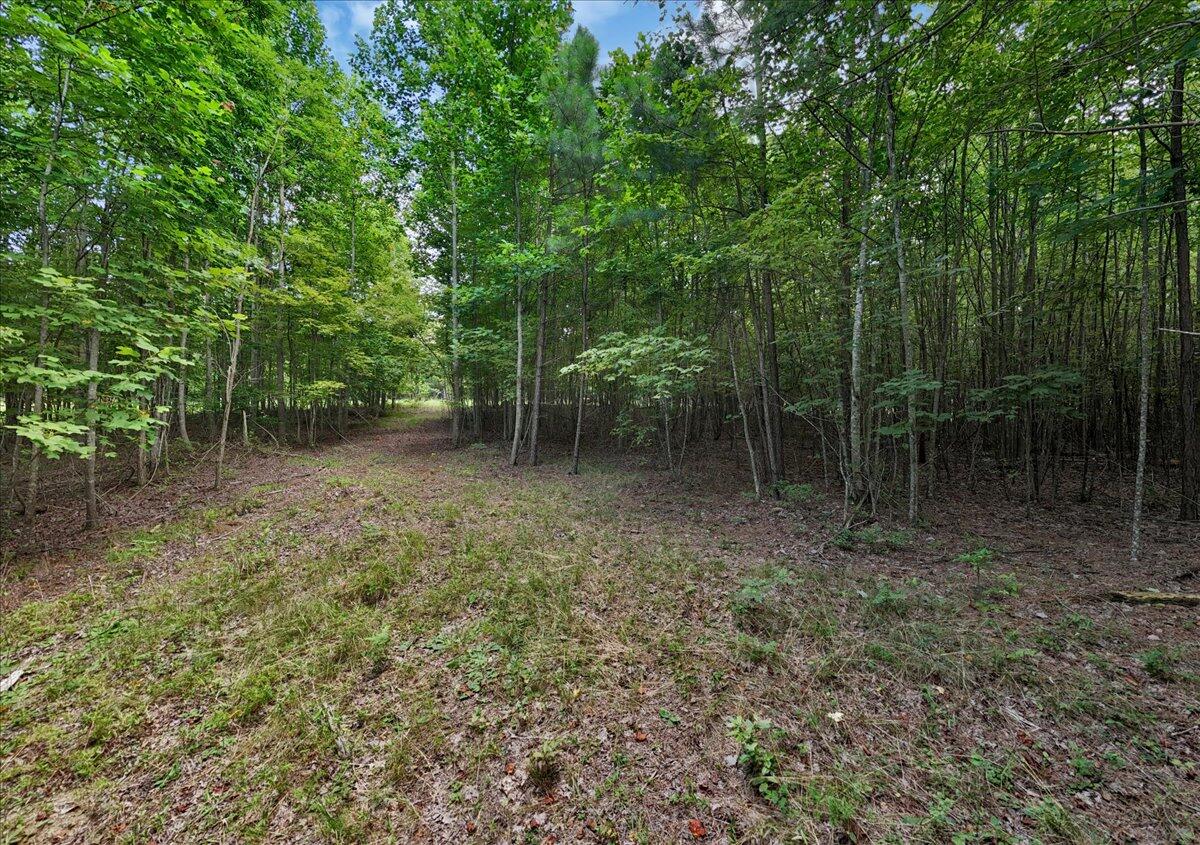 205 Whiskey Way, Jf375