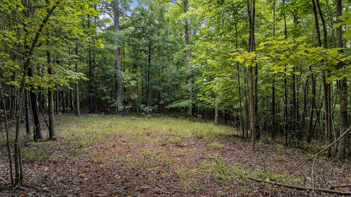 205 Whiskey Way, Jf375