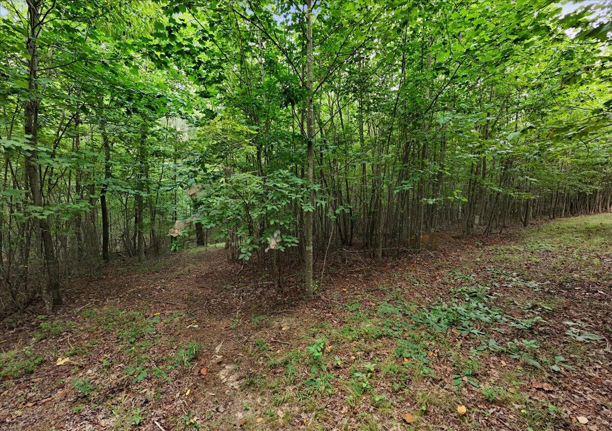 200 Whiskey Way, Jf395