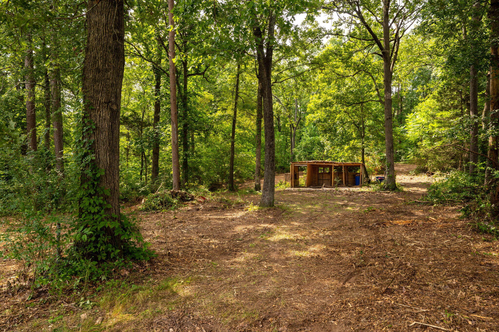 407 Castleview Drive