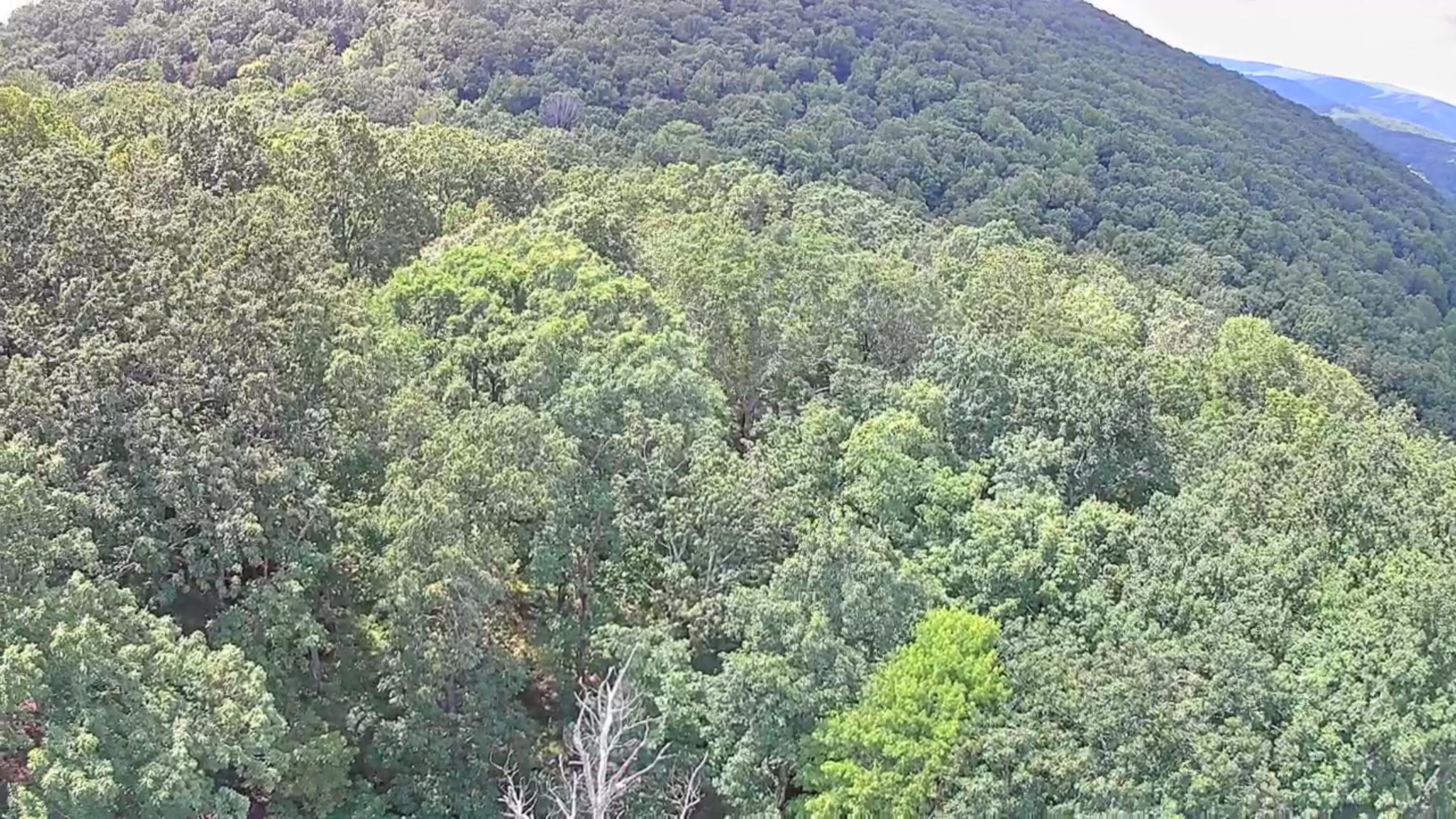 0 Off Of Riddle Road