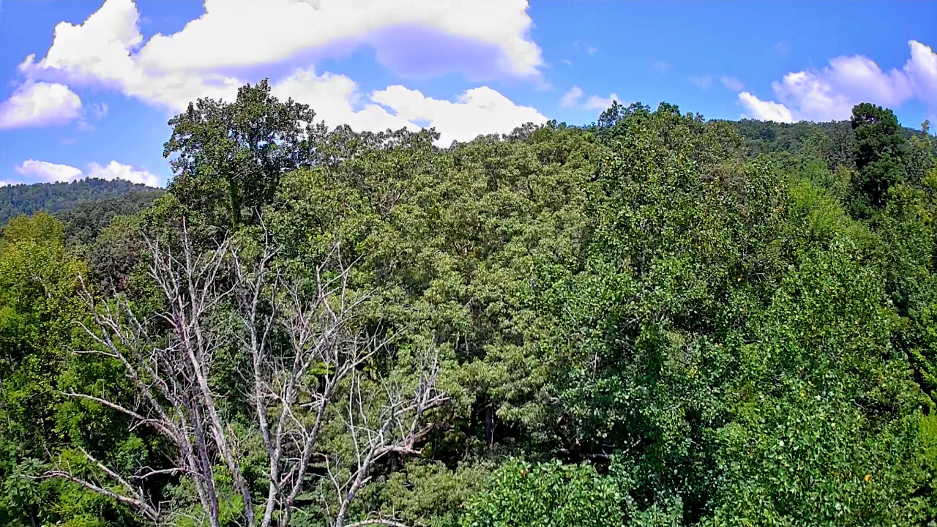 0 Off Of Riddle Road