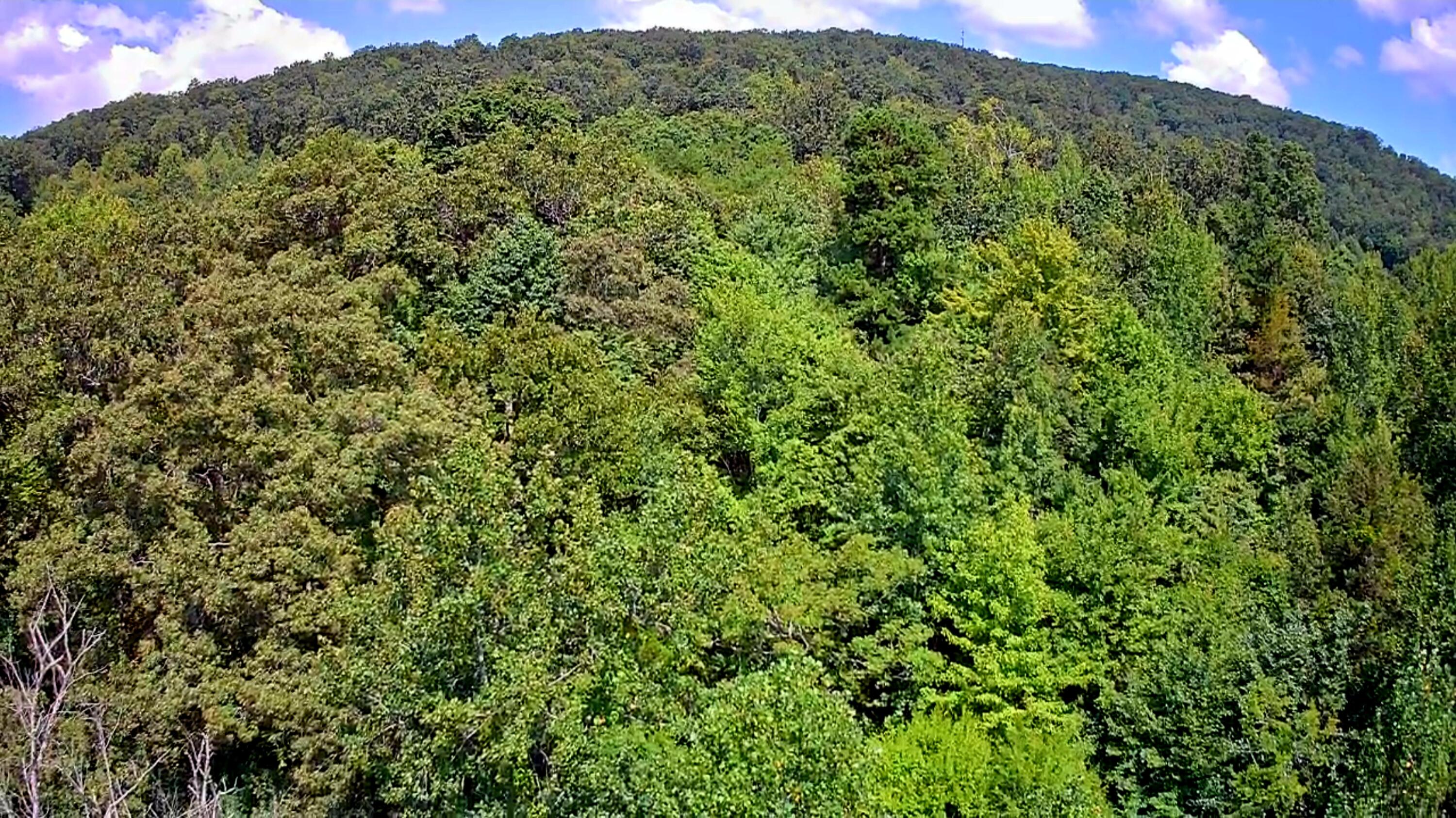 0 Off Of Riddle Road