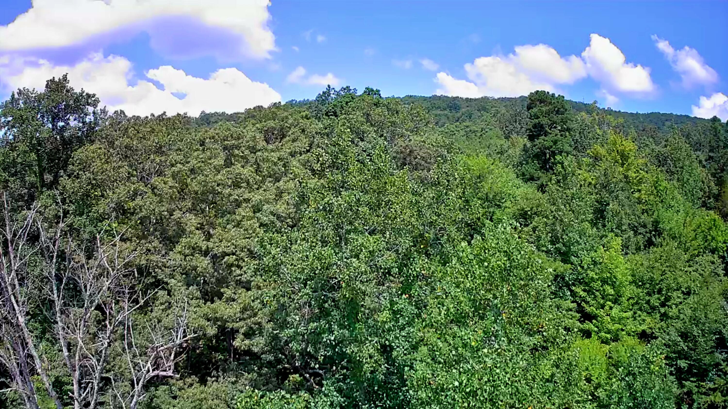 0 Off Of Riddle Road