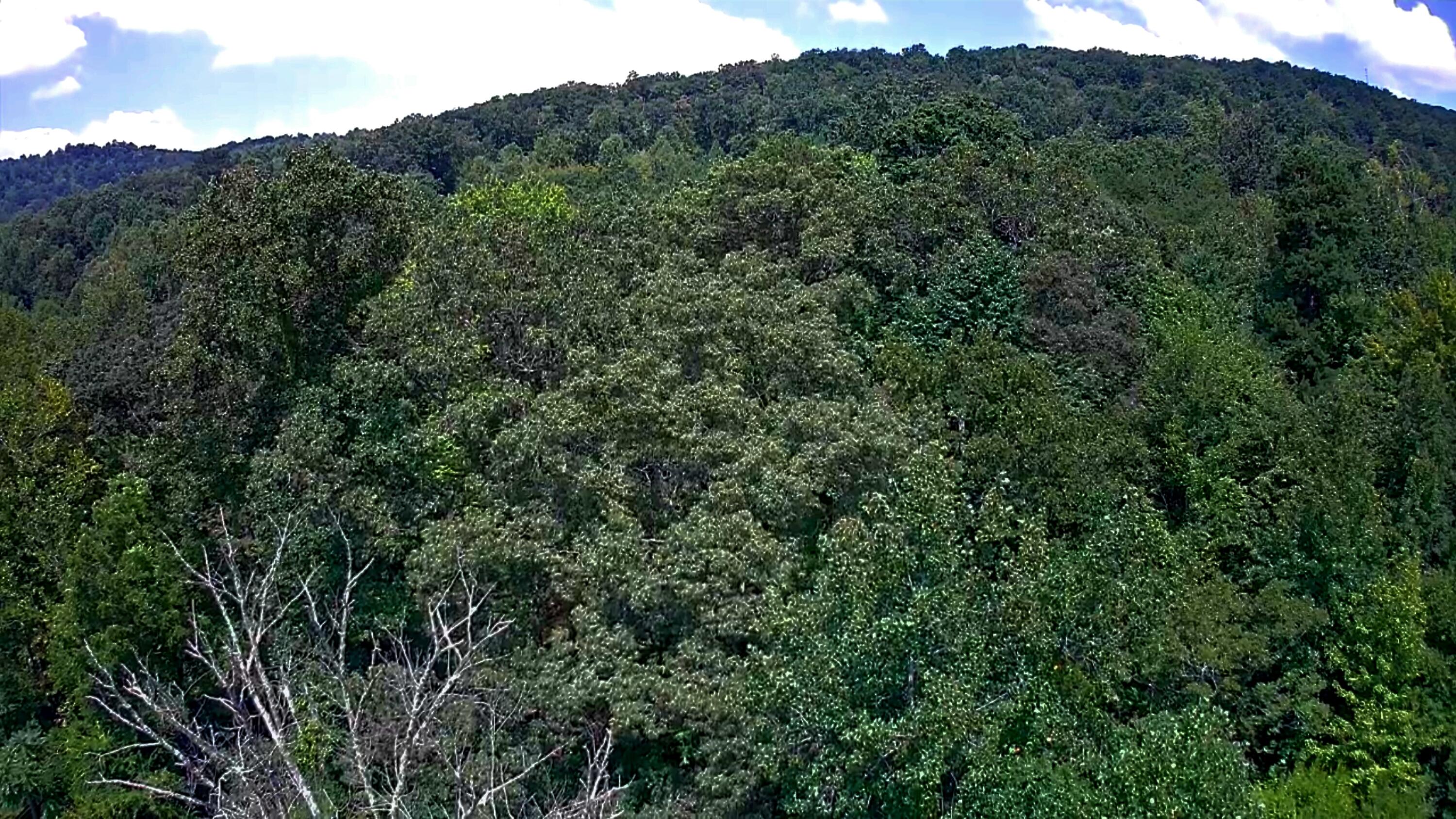 0 Off Of Riddle Road