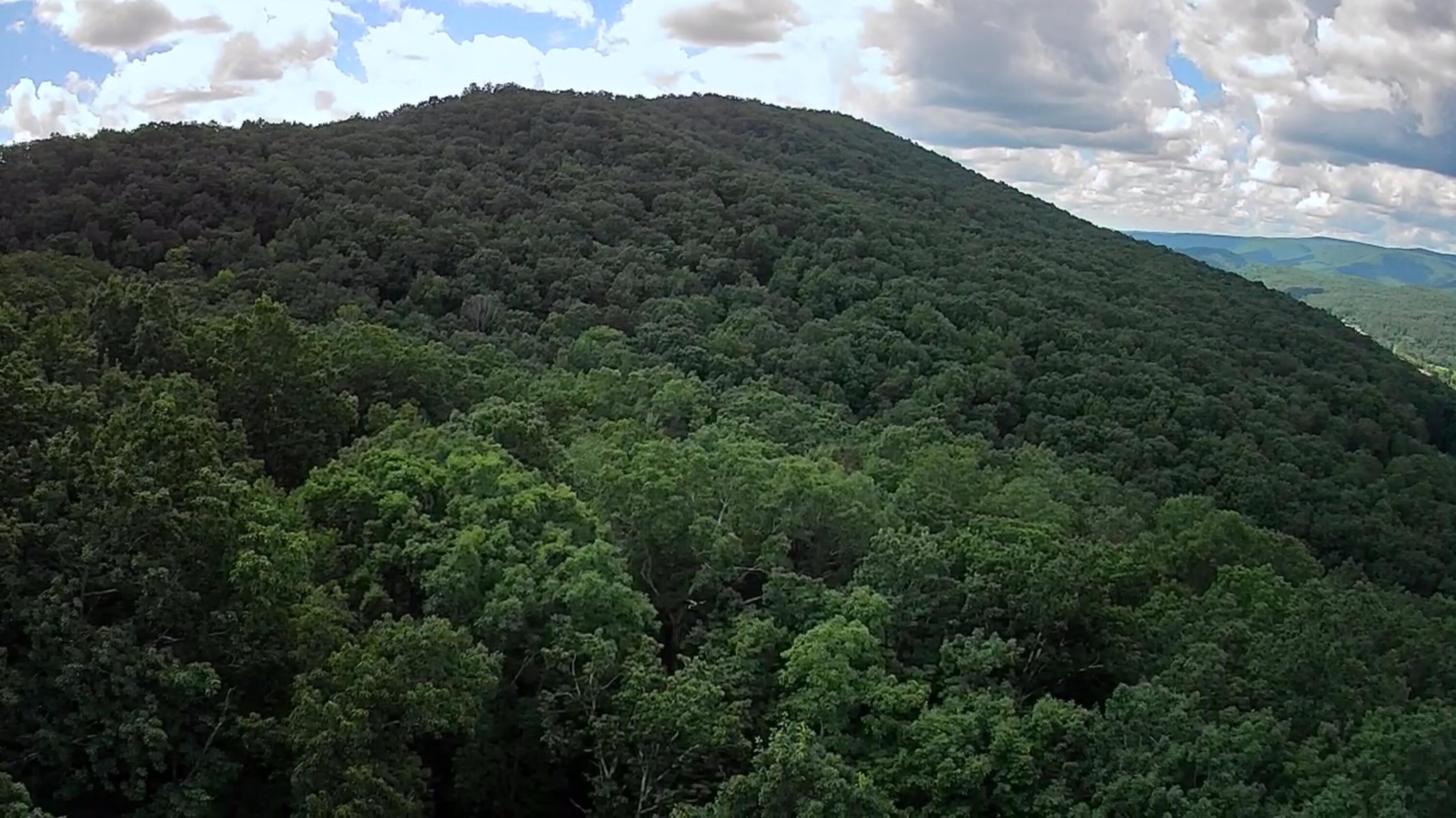 0 Off Of Riddle Road