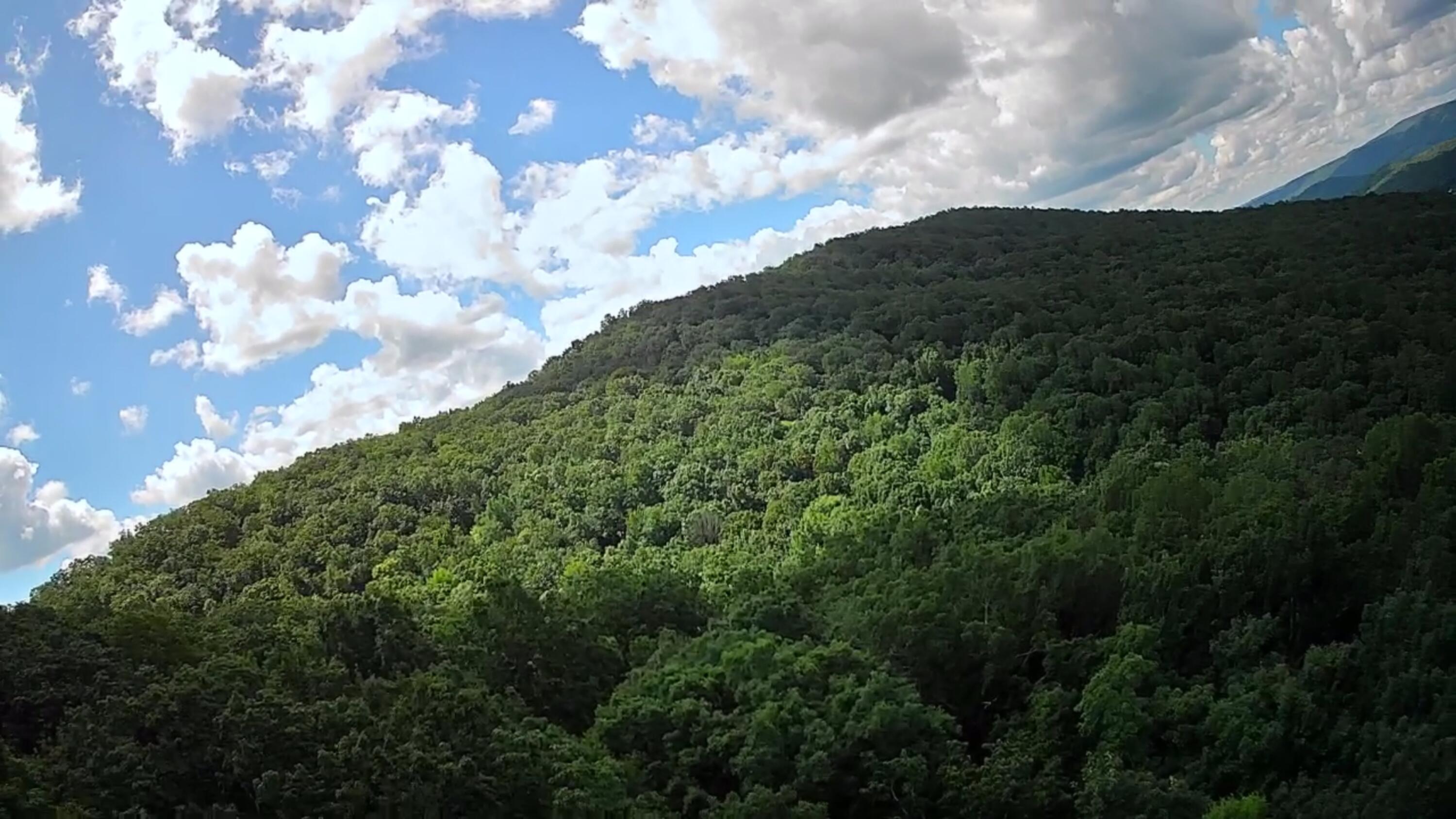 0 Off Of Riddle Road