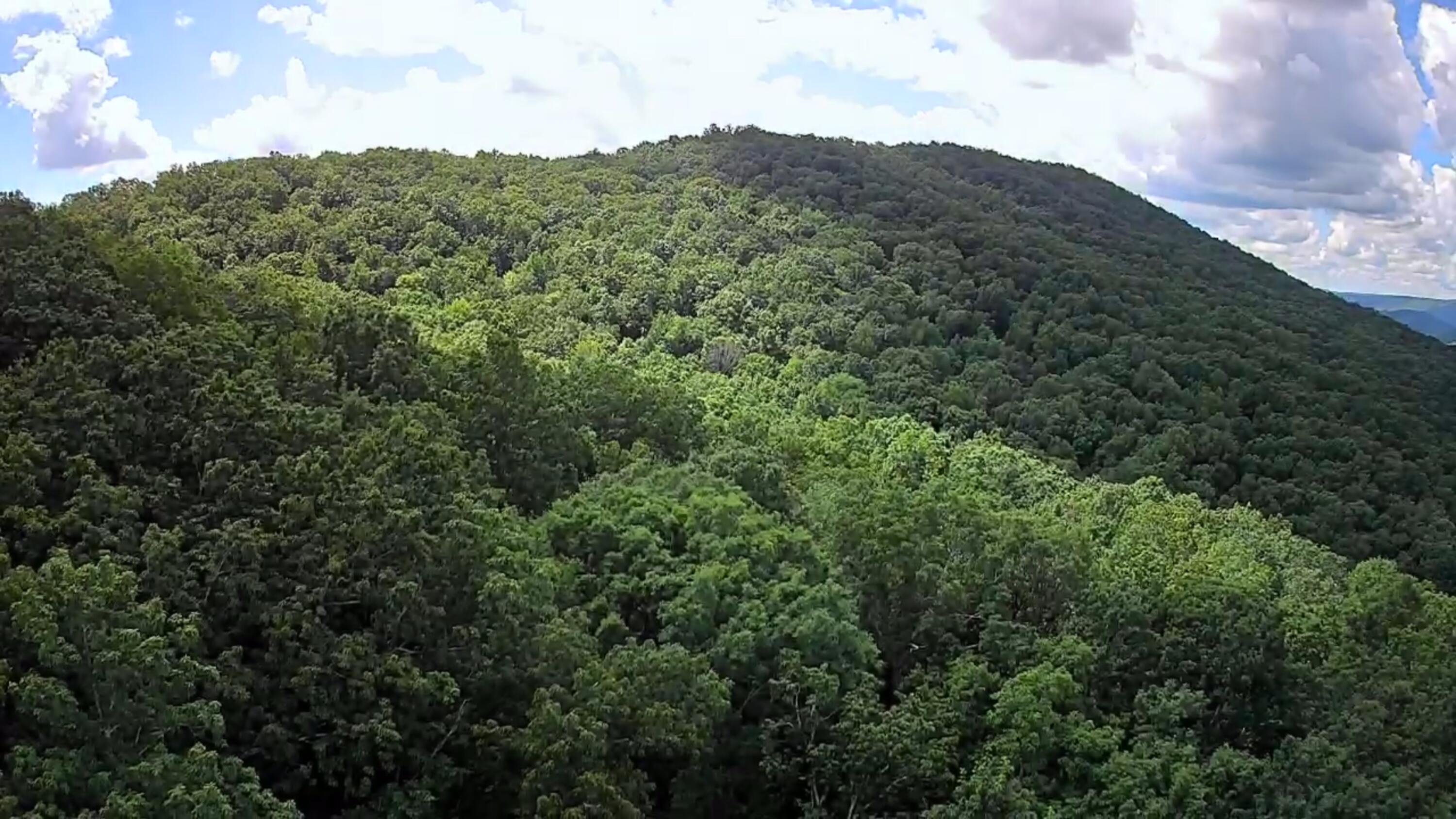 0 Off Of Riddle Road