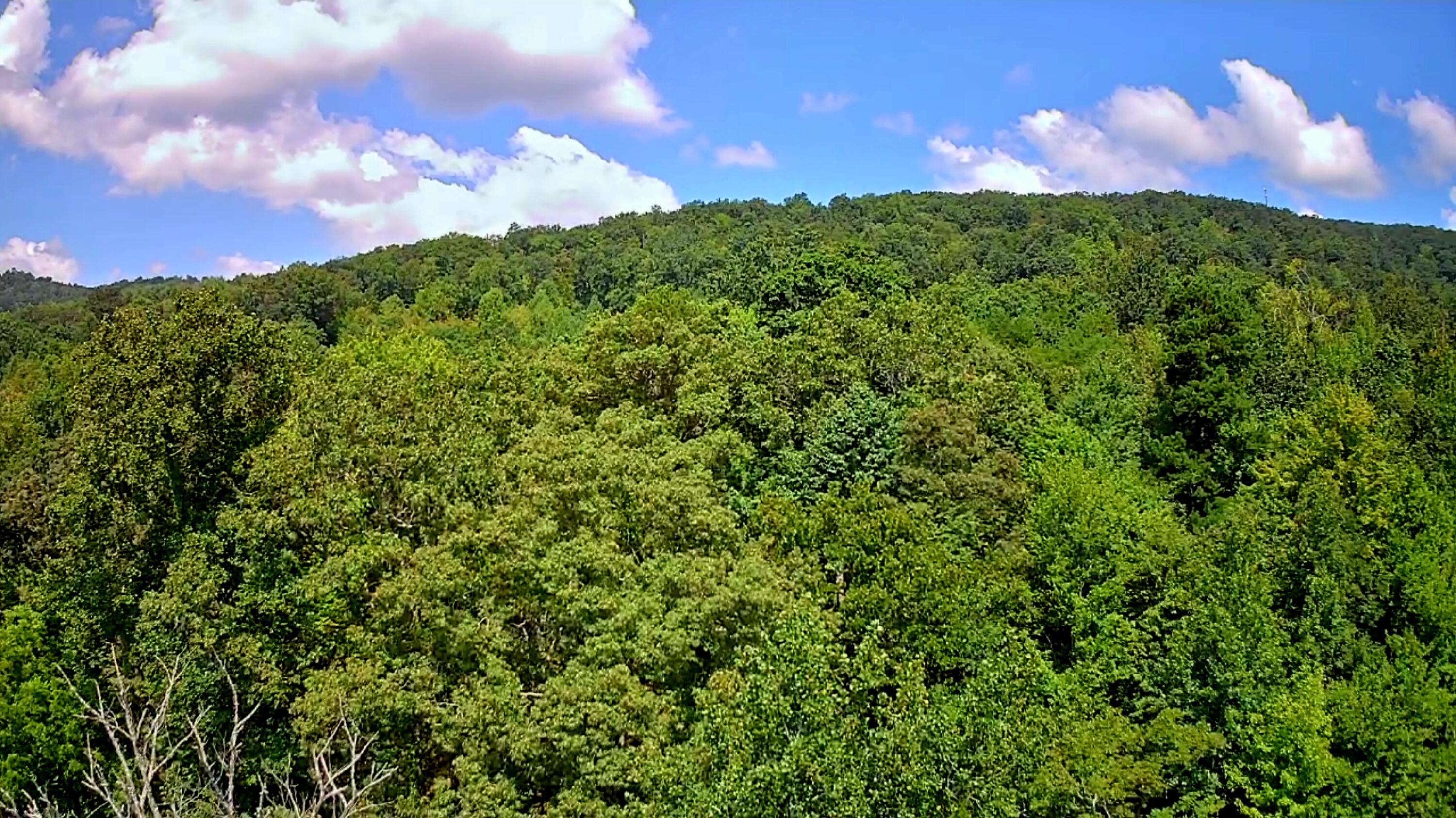 0 Off Of Riddle Road