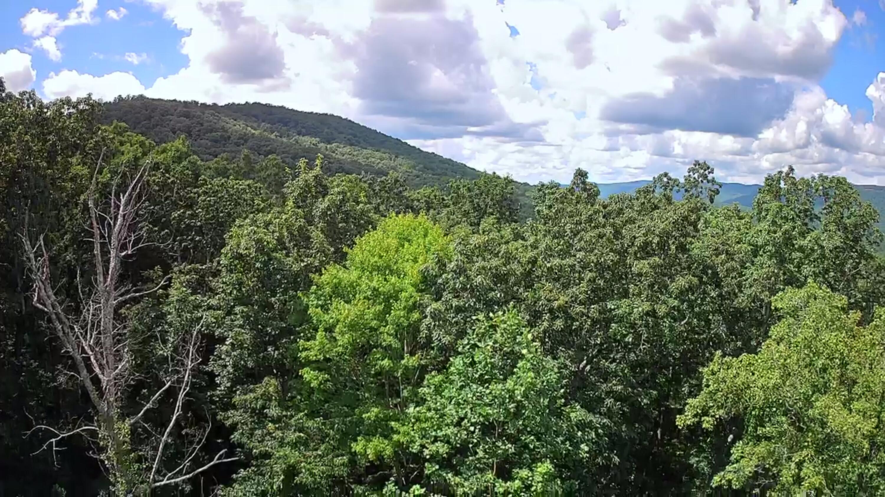 0 Off Of Riddle Road