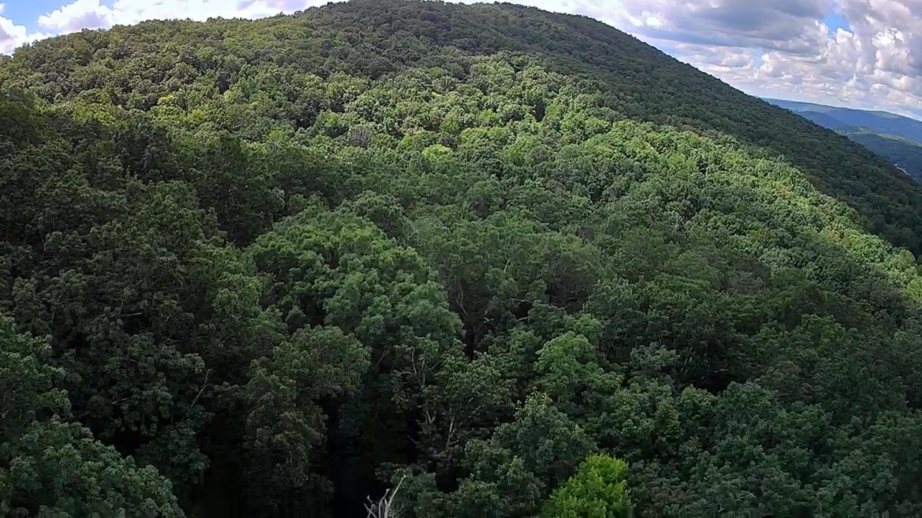 0 Off Of Riddle Road