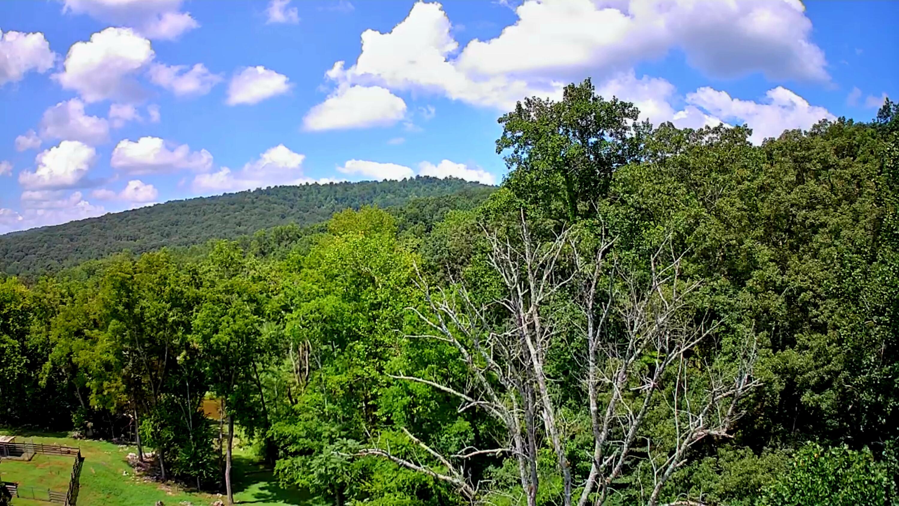 0 Off Of Riddle Road