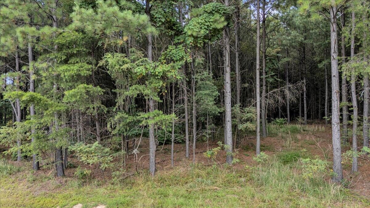 4430 Crockett Point, Jf 216