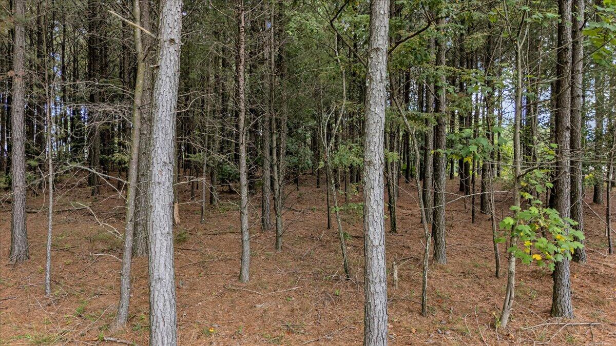 4430 Crockett Point, Jf 216