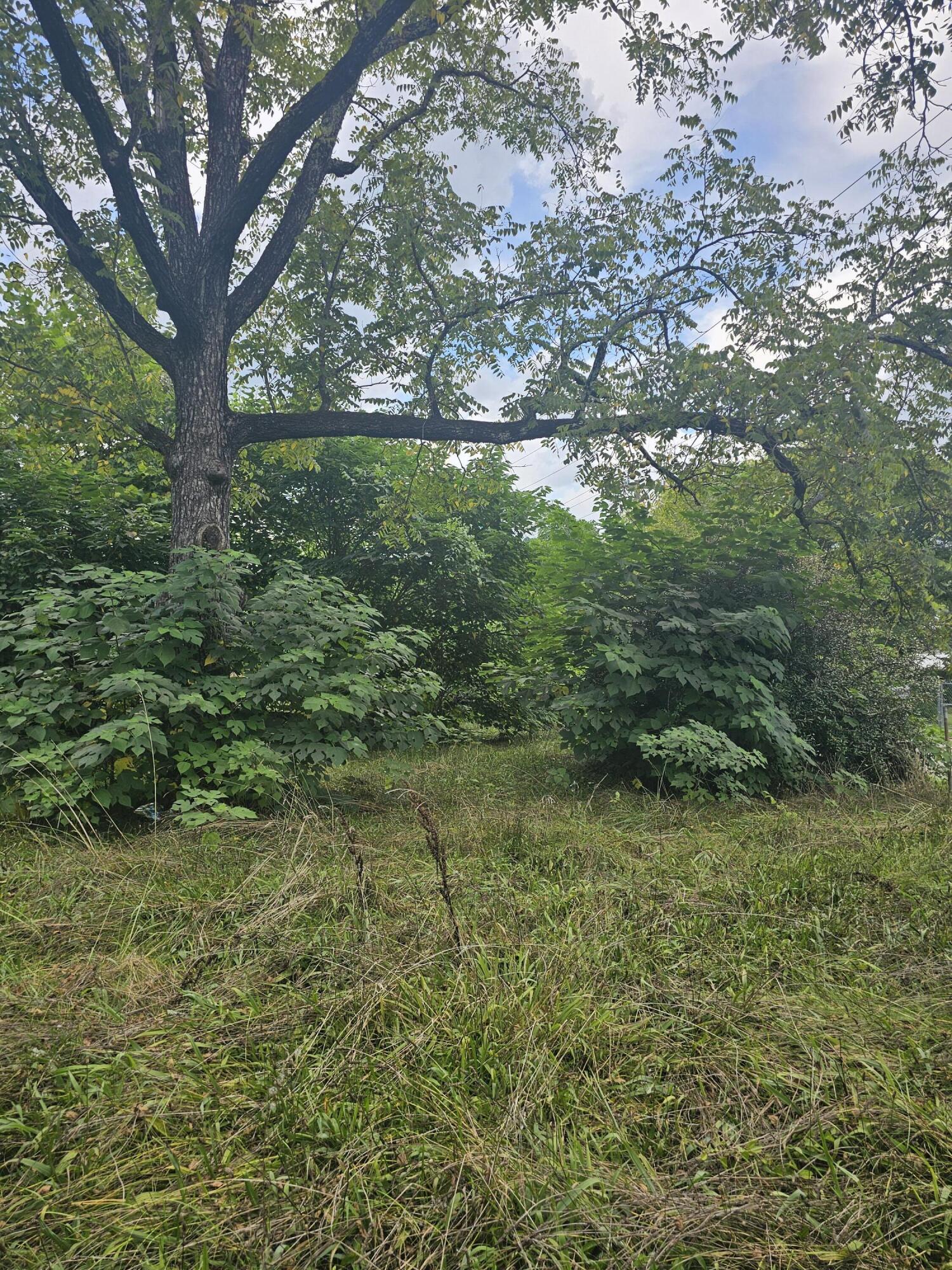 5601 Tennessee Avenue