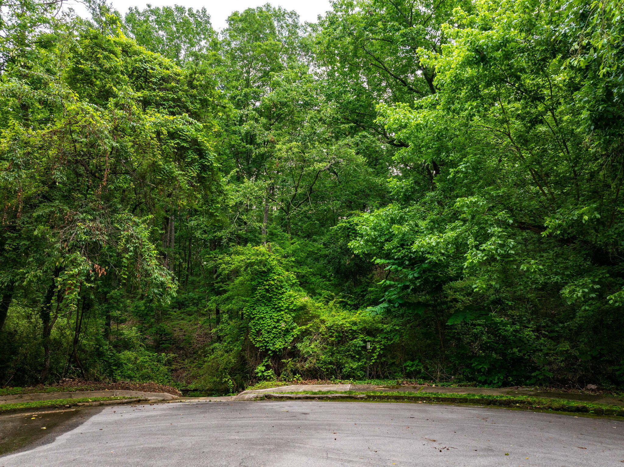 7610 Gloucester Lane