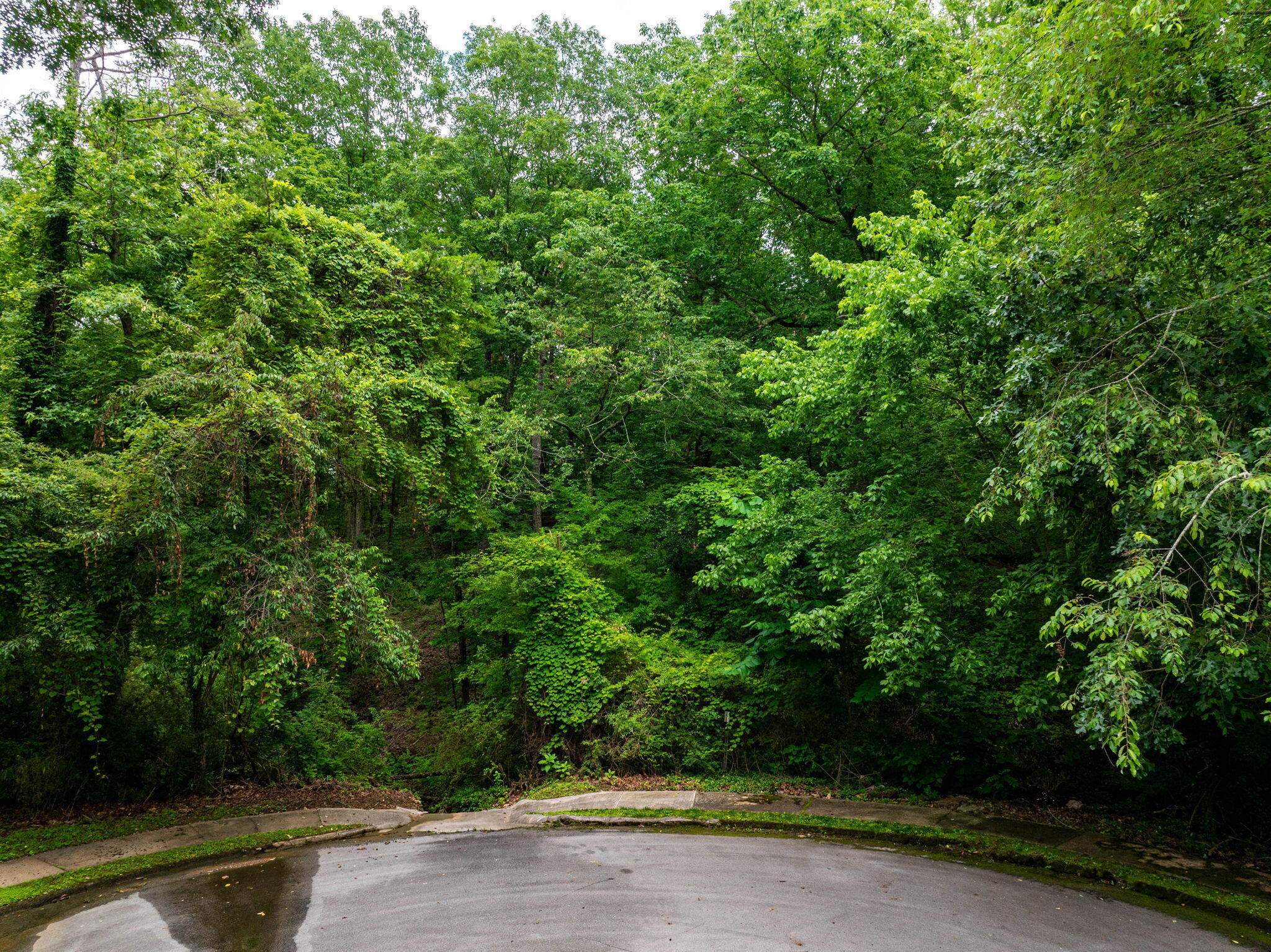 7610 Gloucester Lane