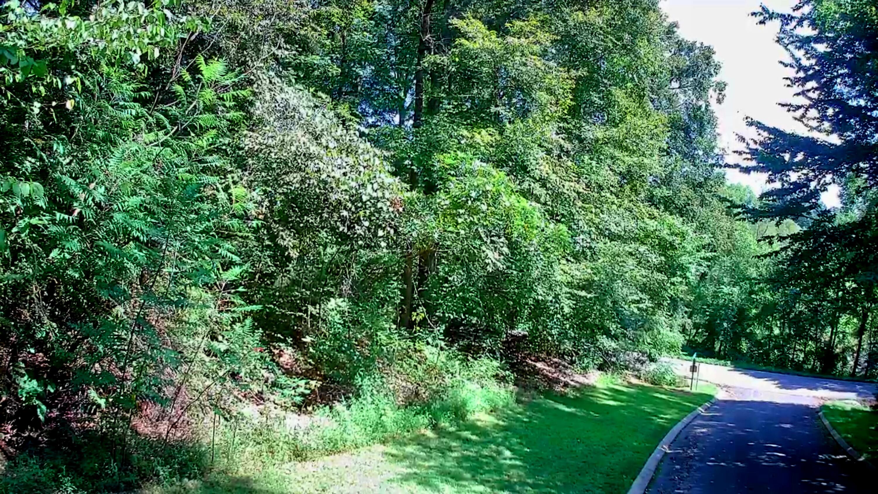 0 Old State Highway 28, 28