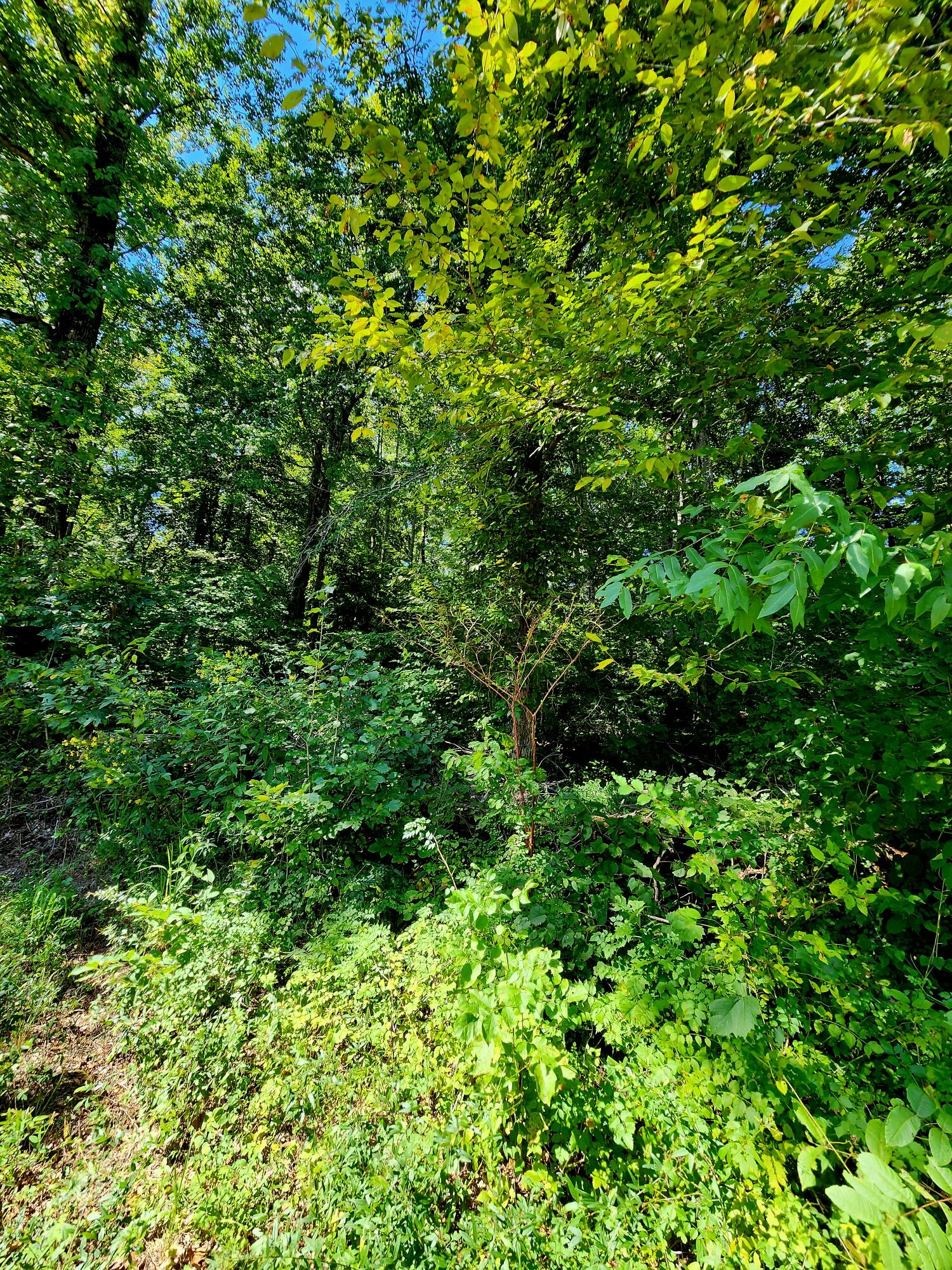 0 Old State Highway 28, 28