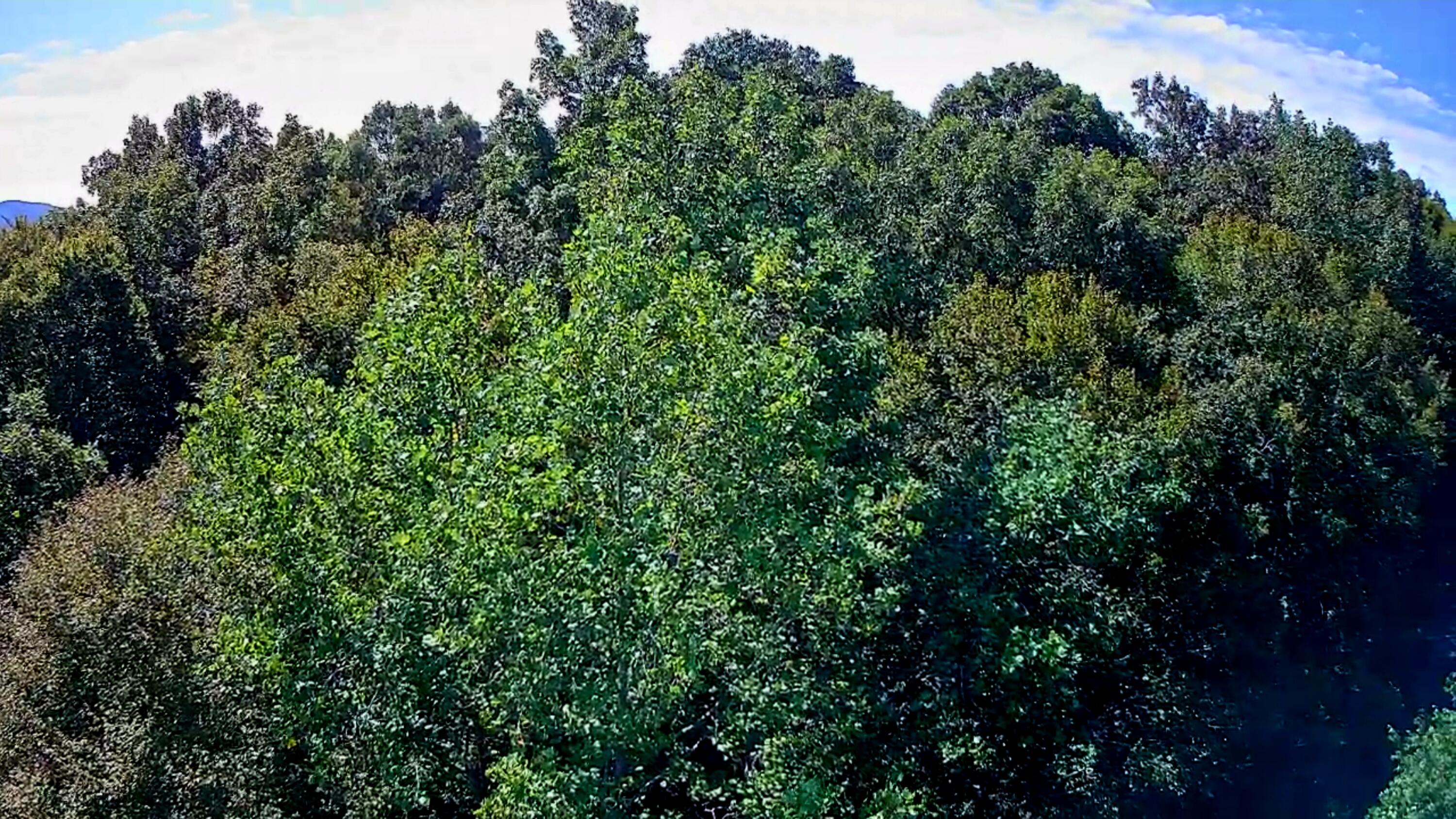 0 Old State Highway 28, 28