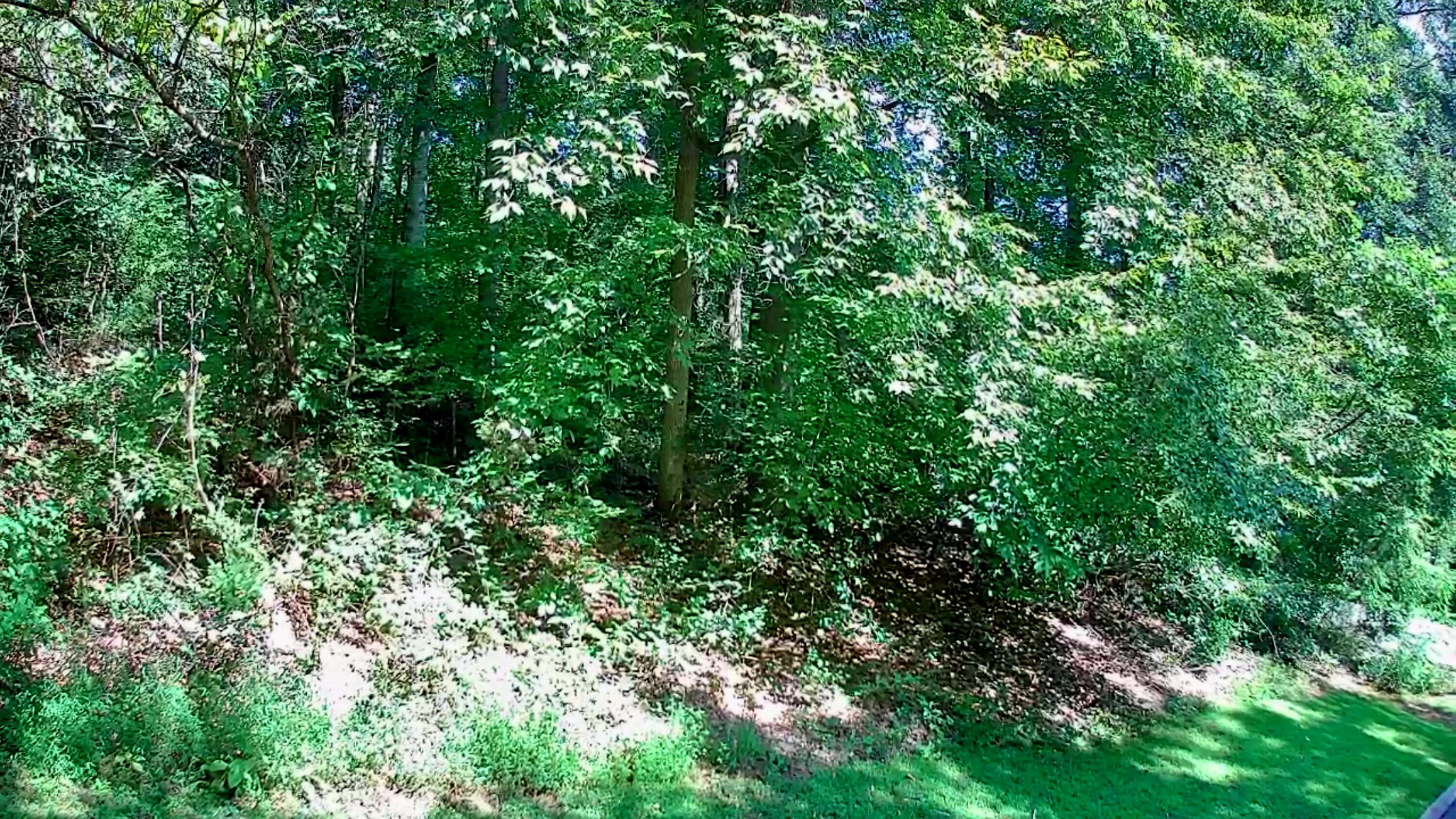 0 Old State Highway 28, 28