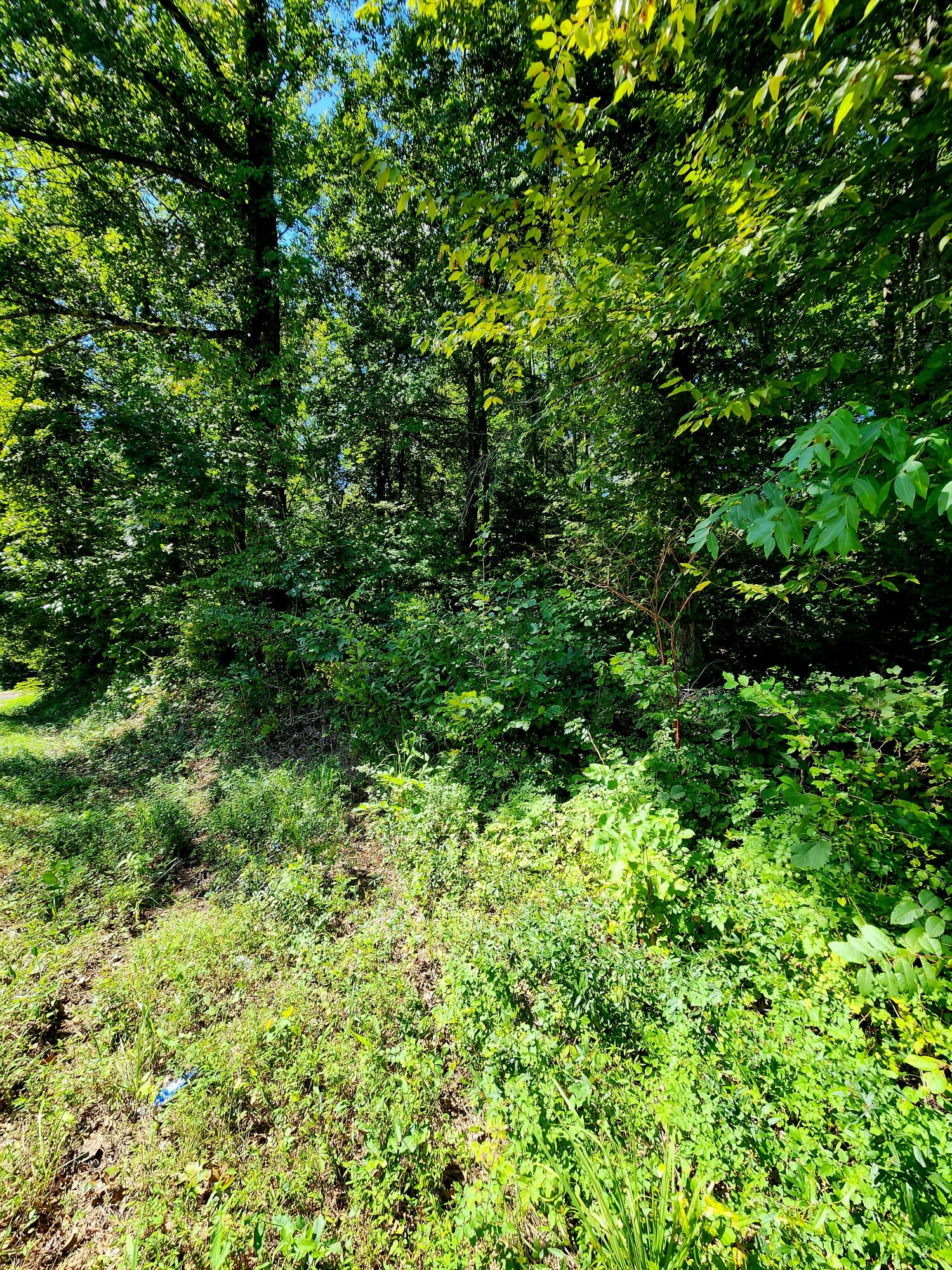 0 Old State Highway 28, 28