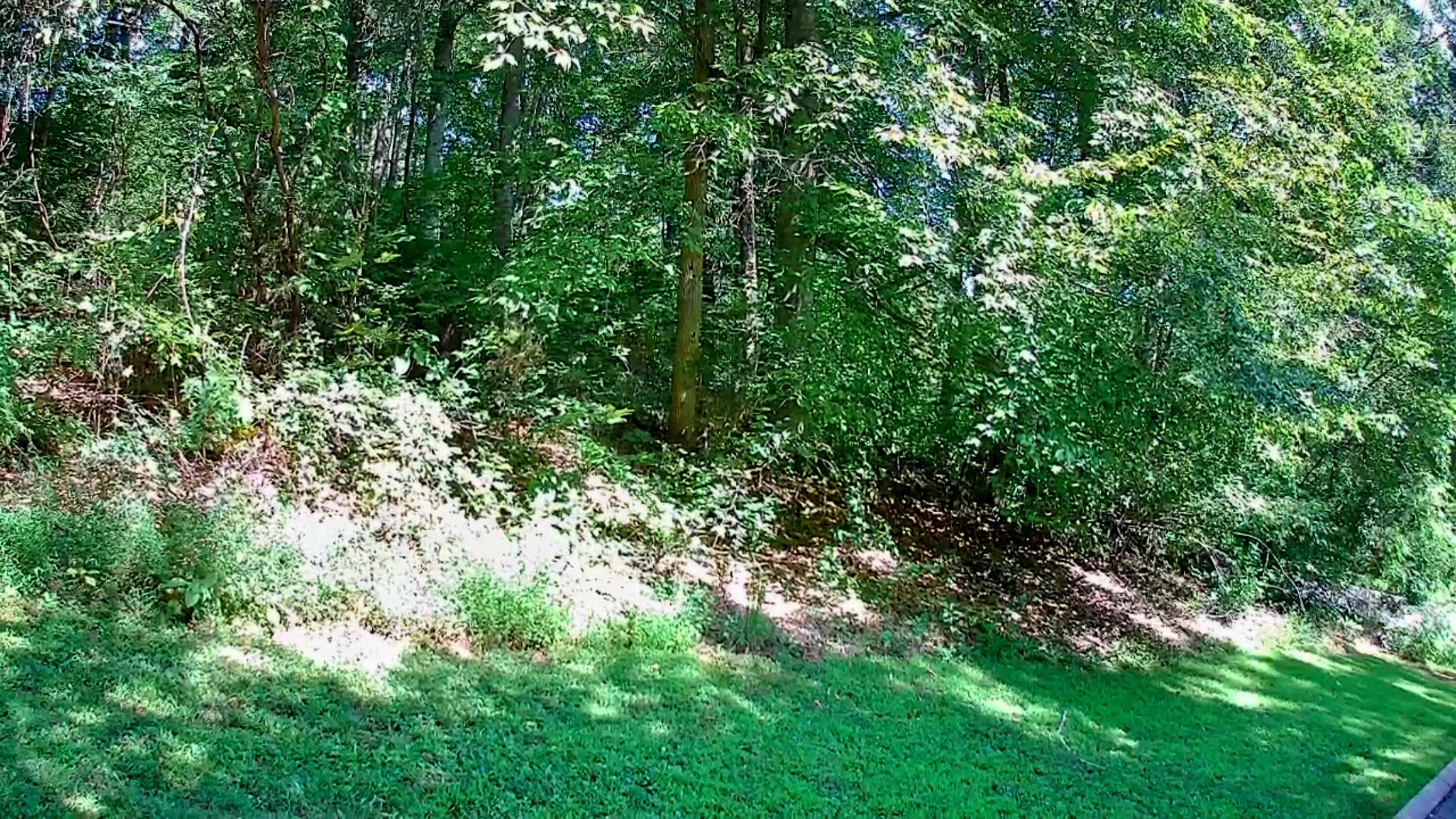 0 Old State Highway 28, 28