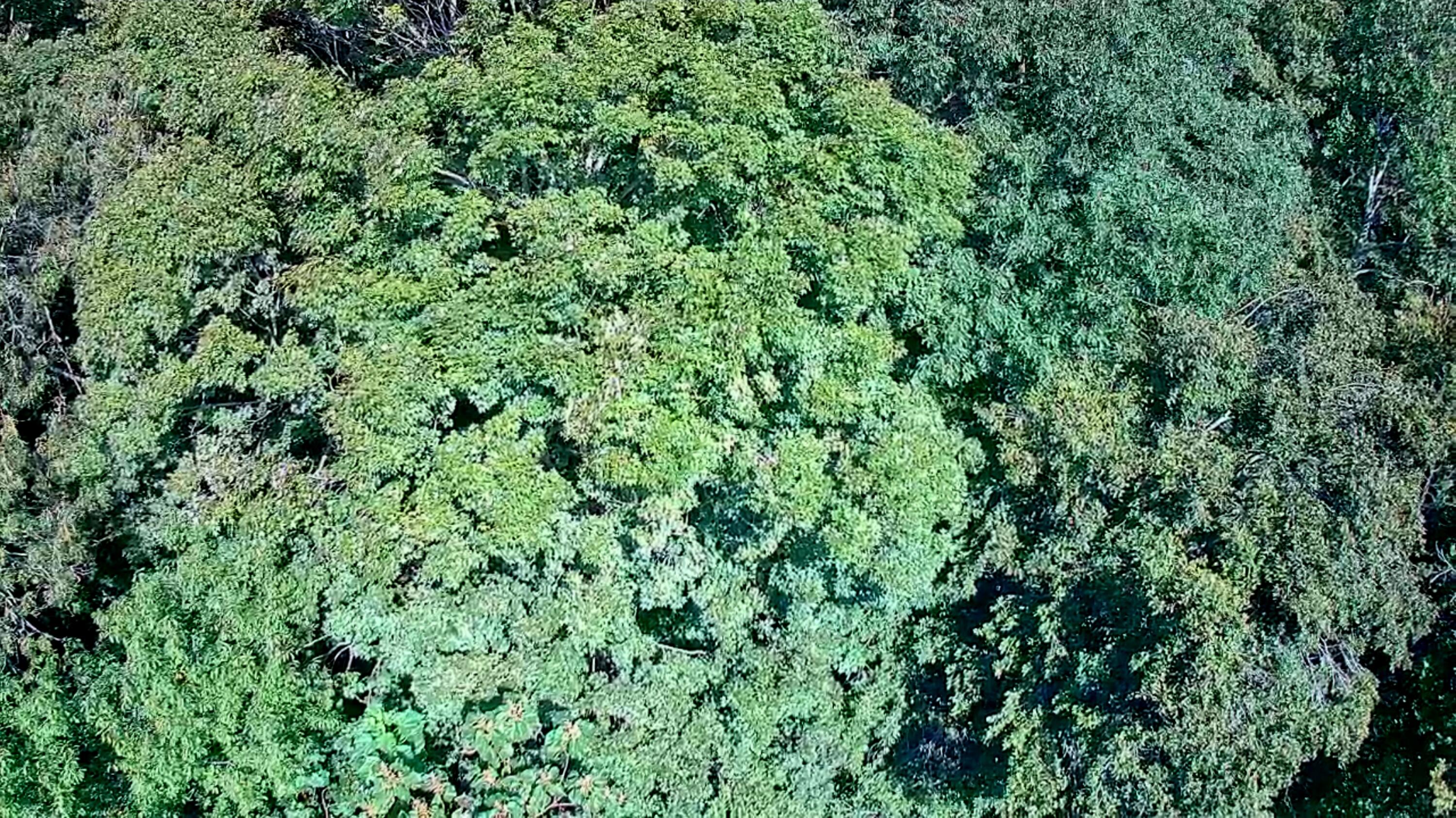 0 Old State Highway 28, 28