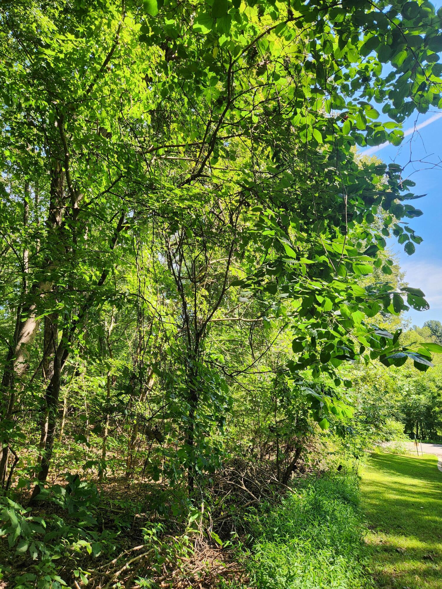 0 Old State Highway 28, 28