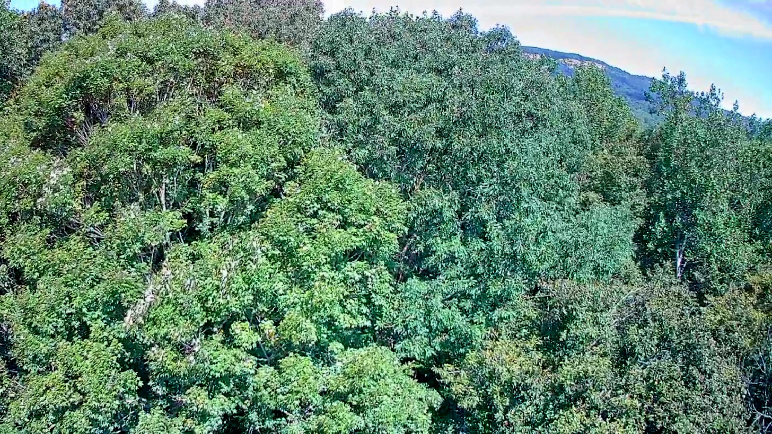 0 Old State Highway 28, 28