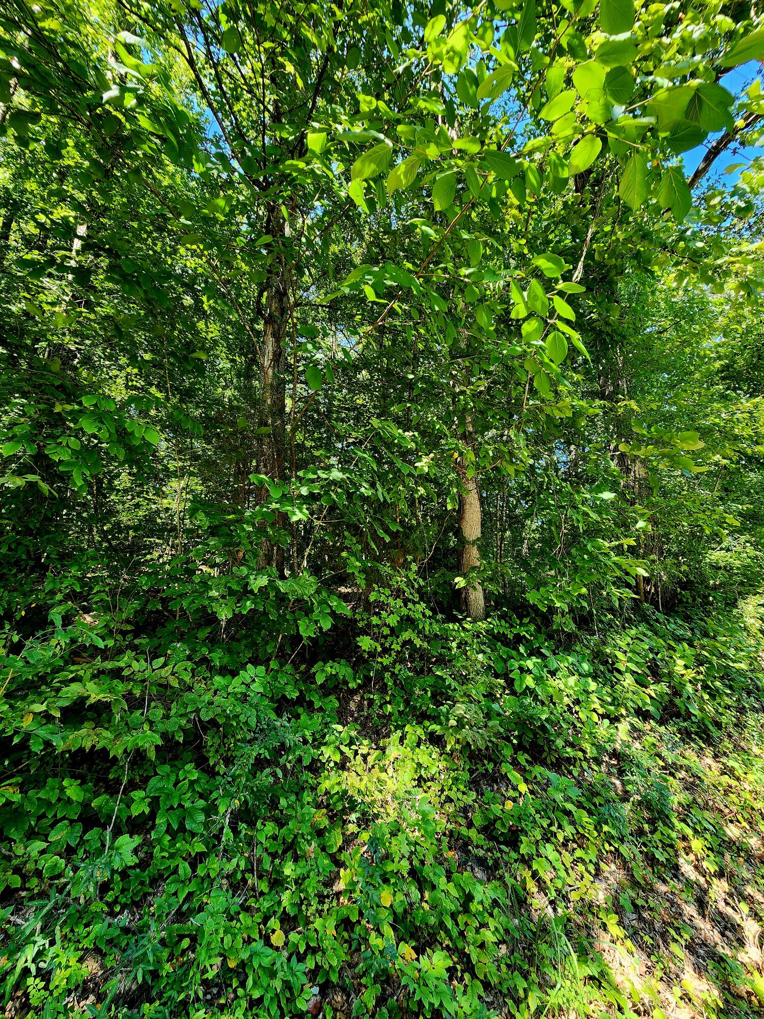 0 Old State Highway 28, 28