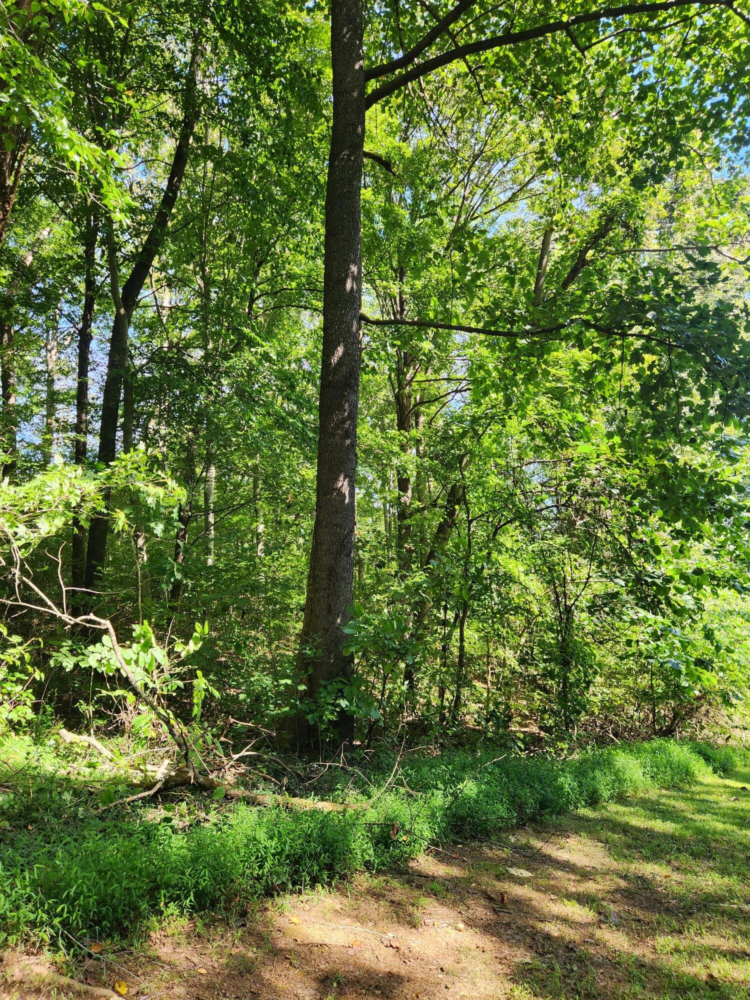 0 Old State Highway 28, 28