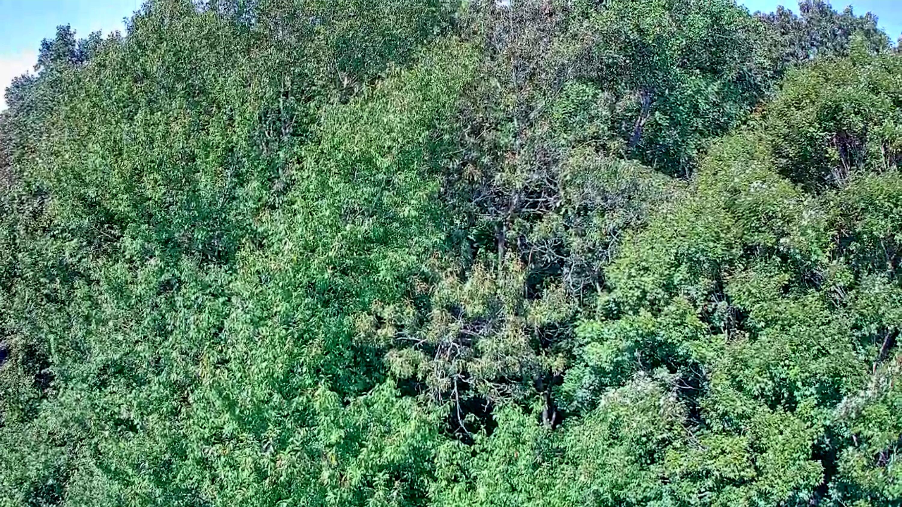 0 Old State Highway 28, 28